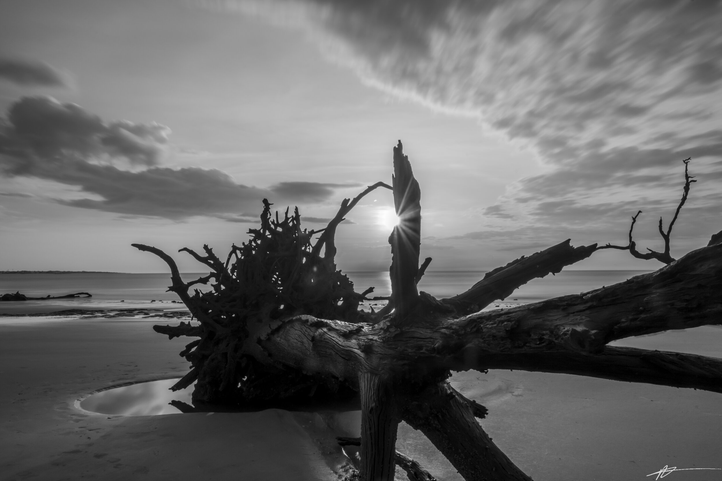 Driftwood Beach-55.jpg