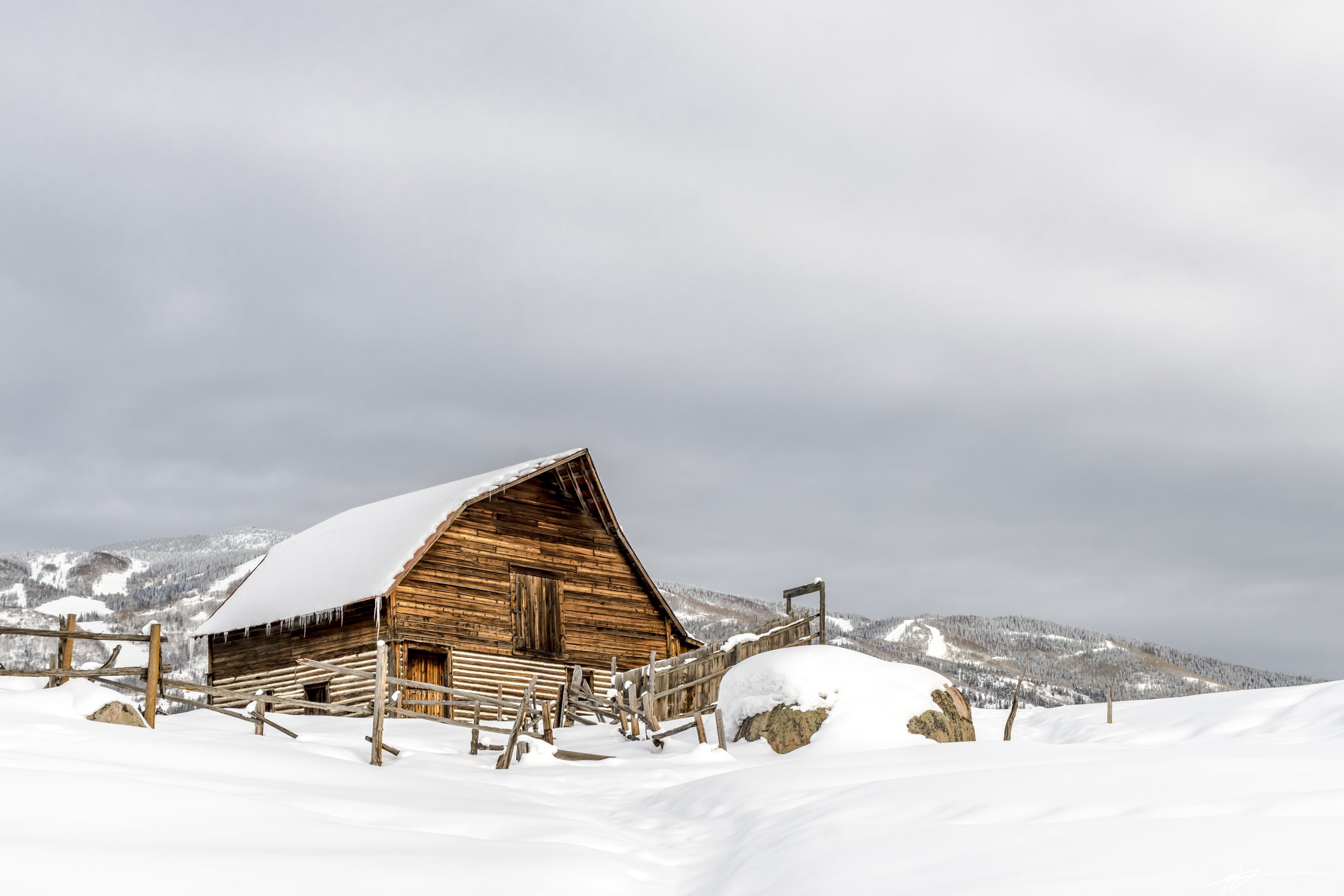 2022 Import-8549.jpg