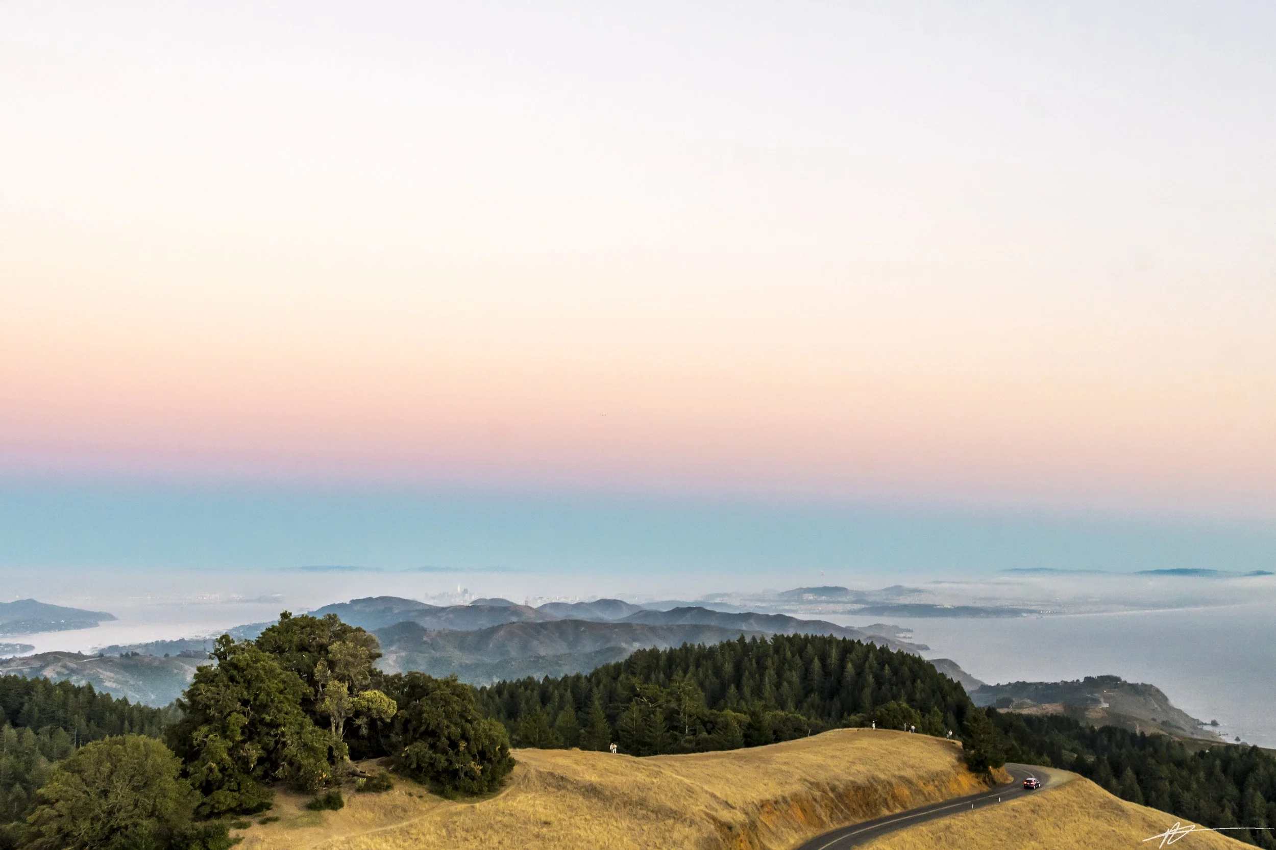 Bay Area 2022-9305.jpg