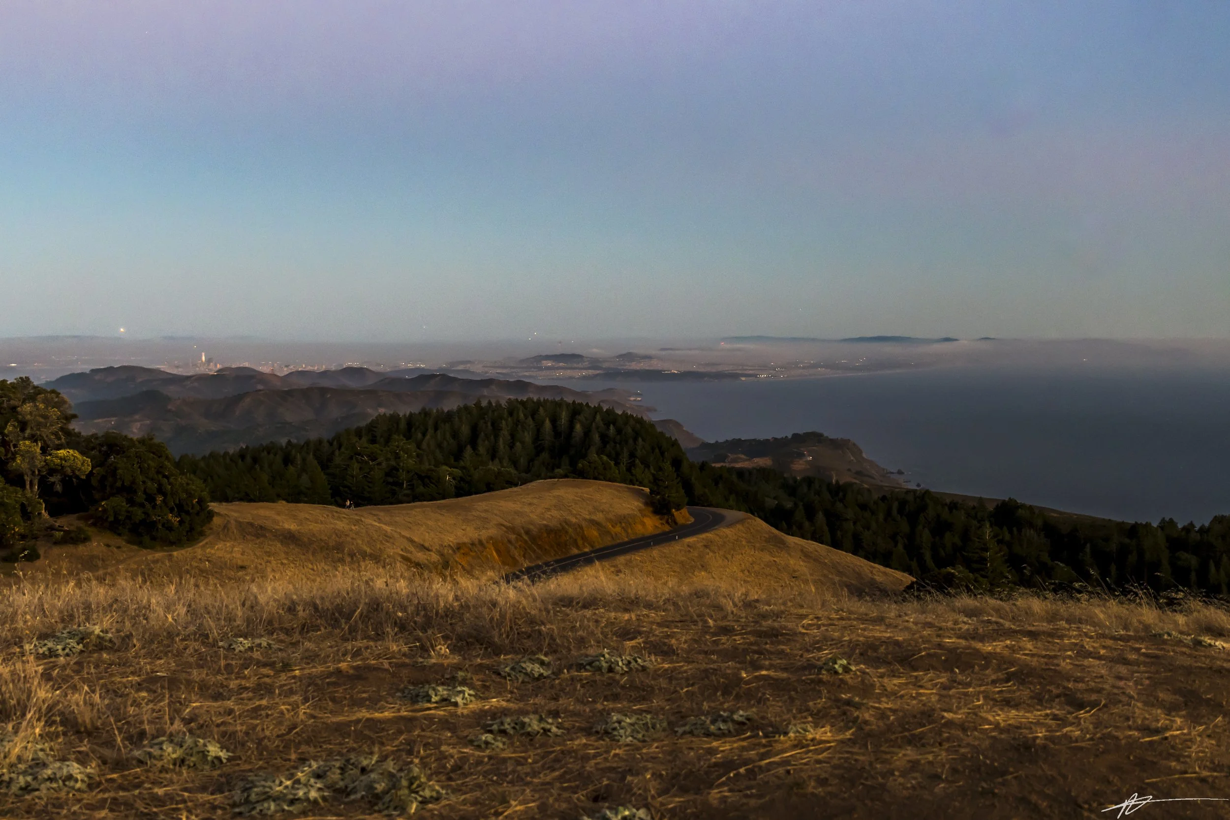 Bay Area 2022-9333.jpg