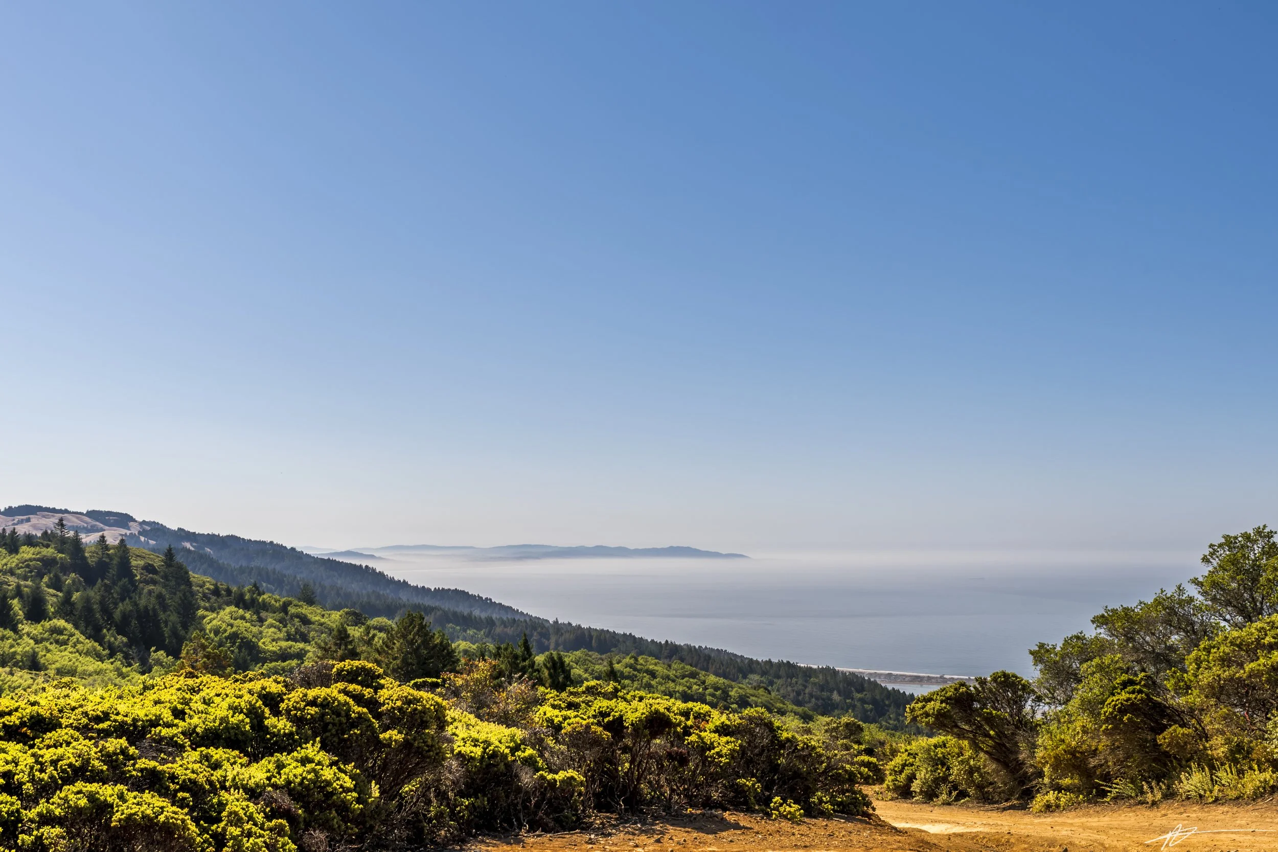 Bay Area 2022-9428.jpg