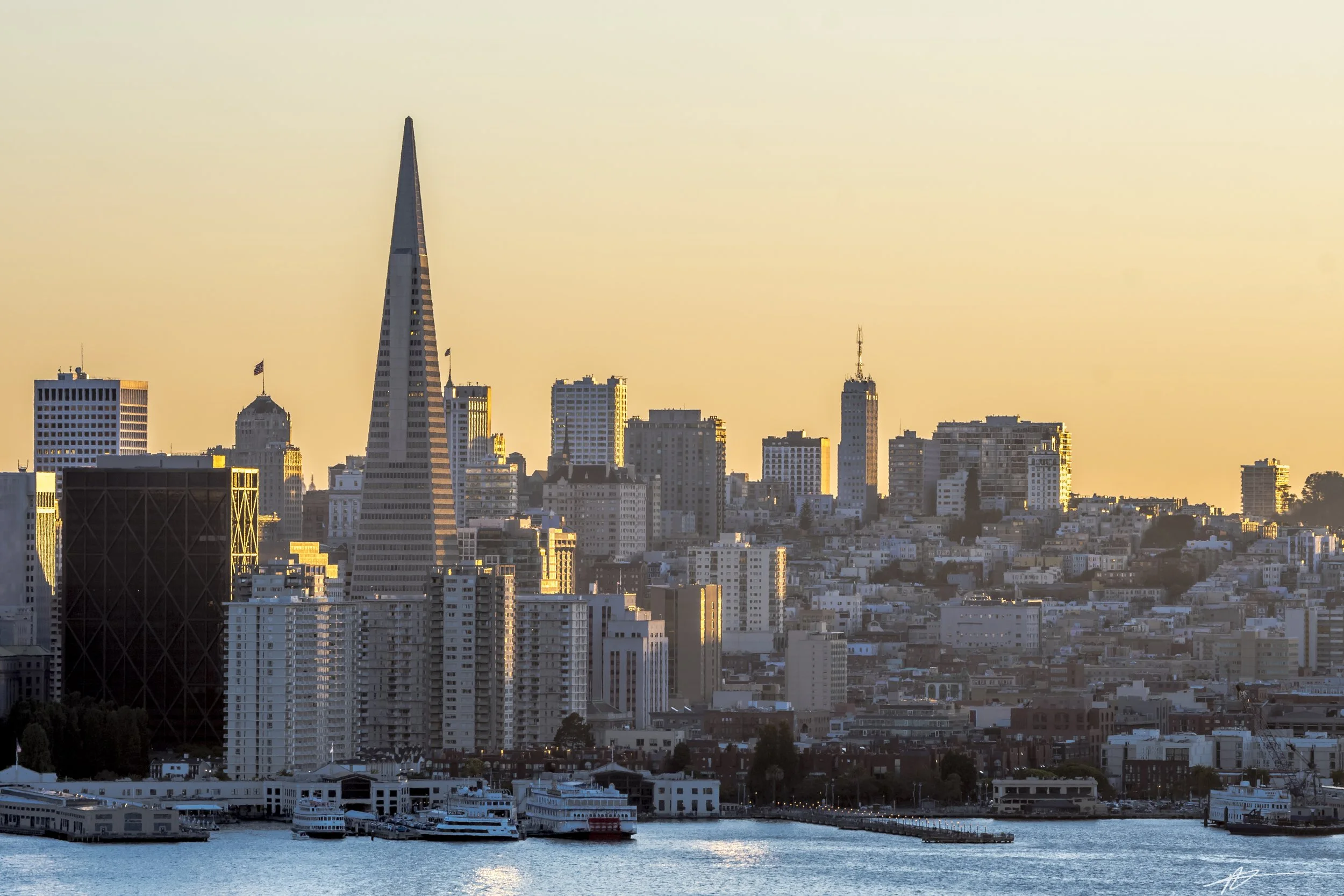 Bay Area 2022-9480.jpg