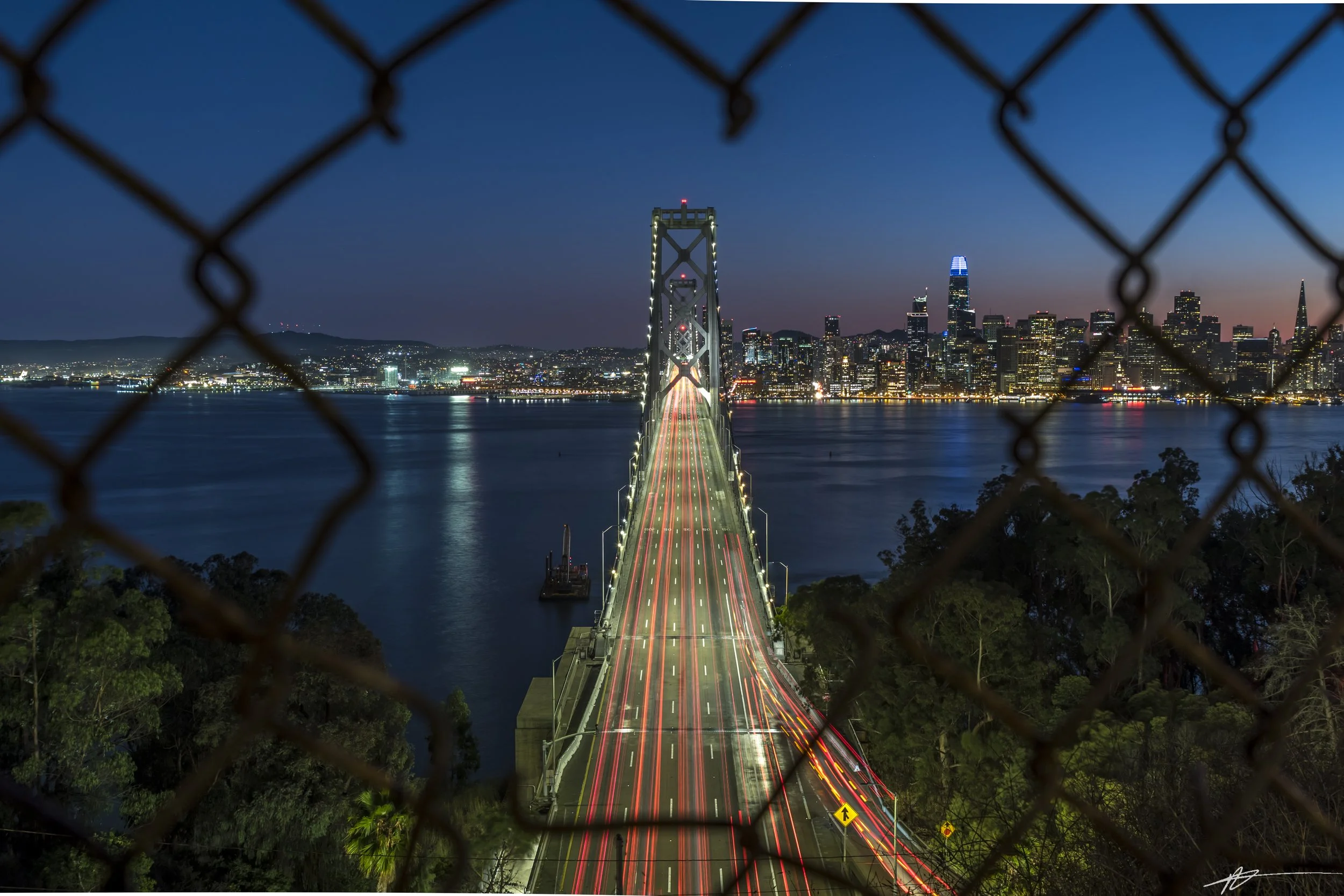 Bay Area 2022-9565.jpg