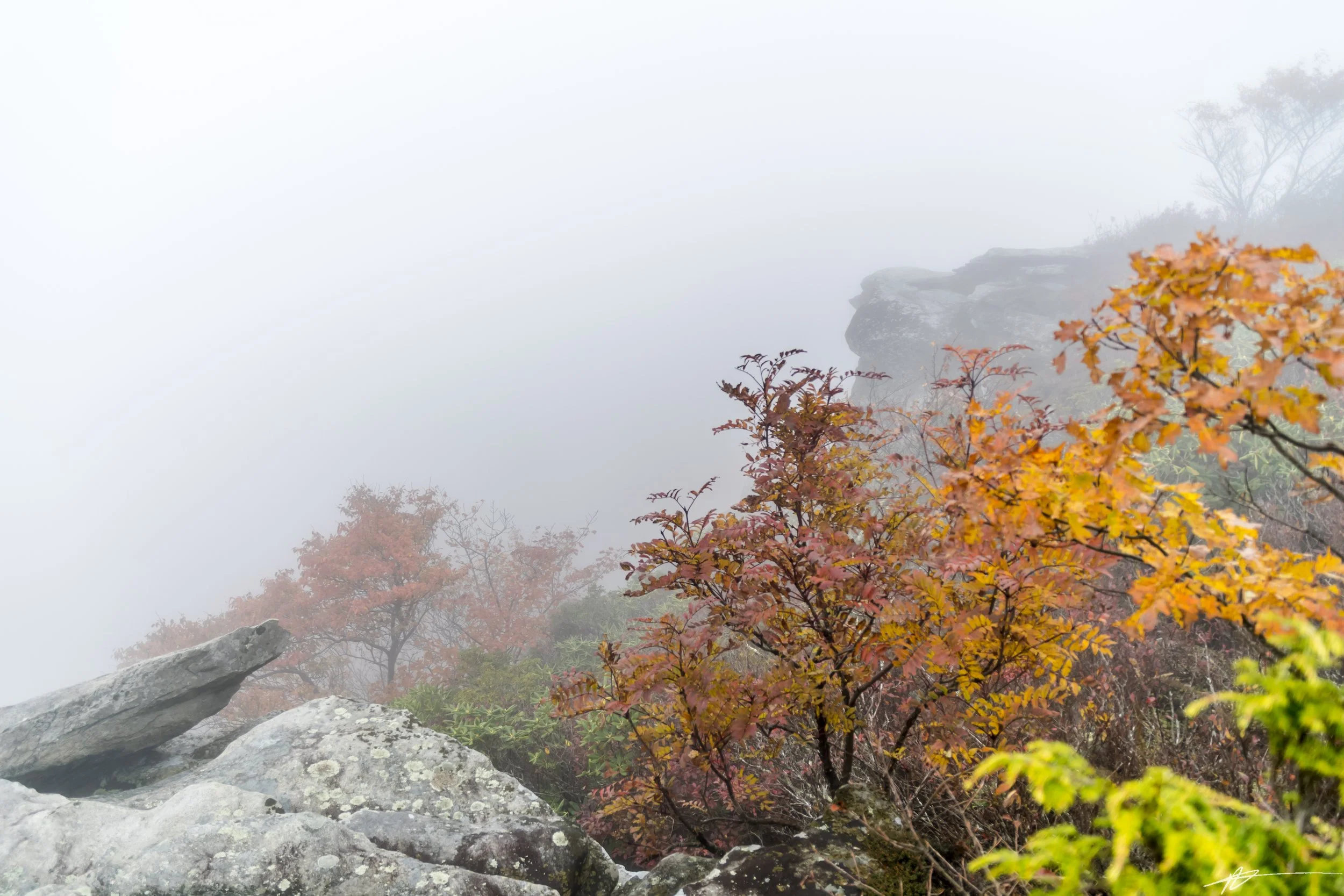 Blue Ridge-5.jpg