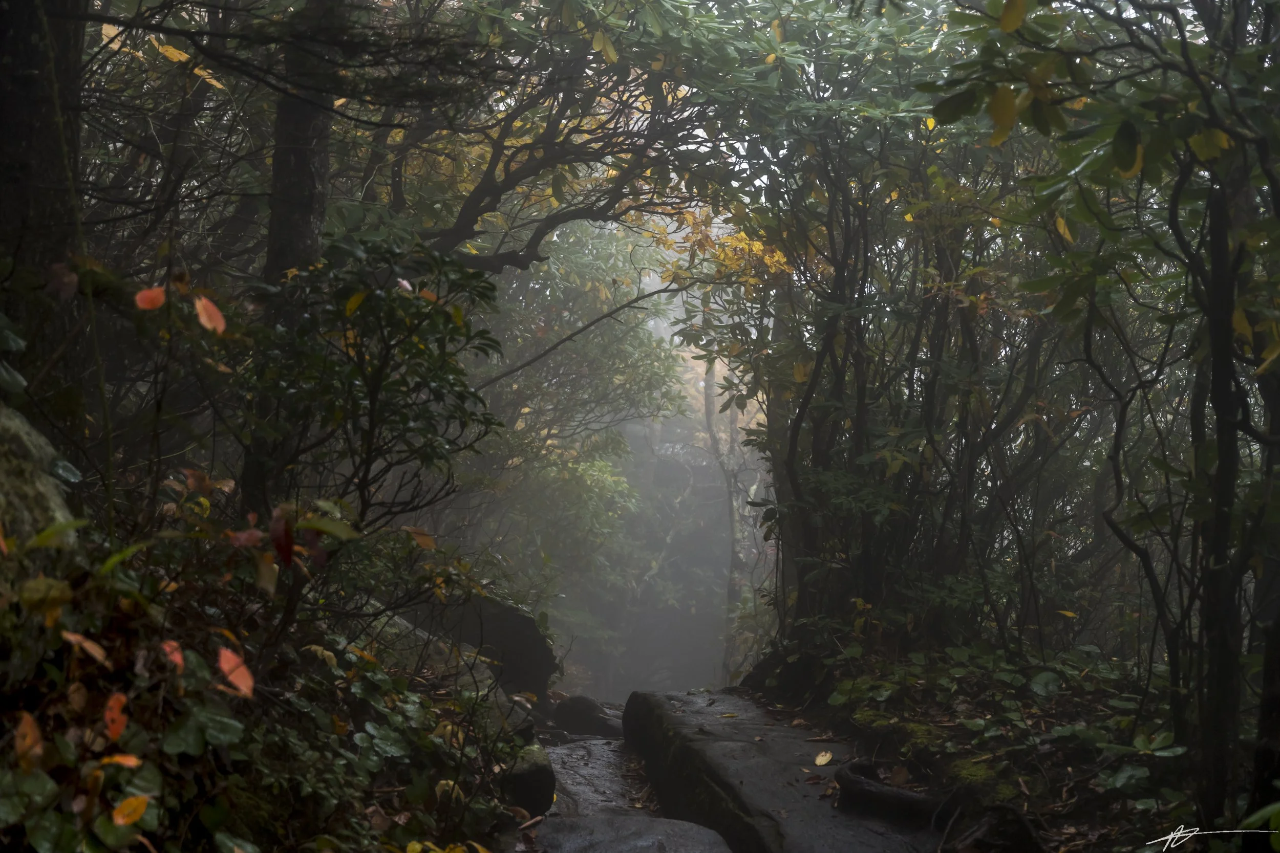 Blue Ridge-27.jpg