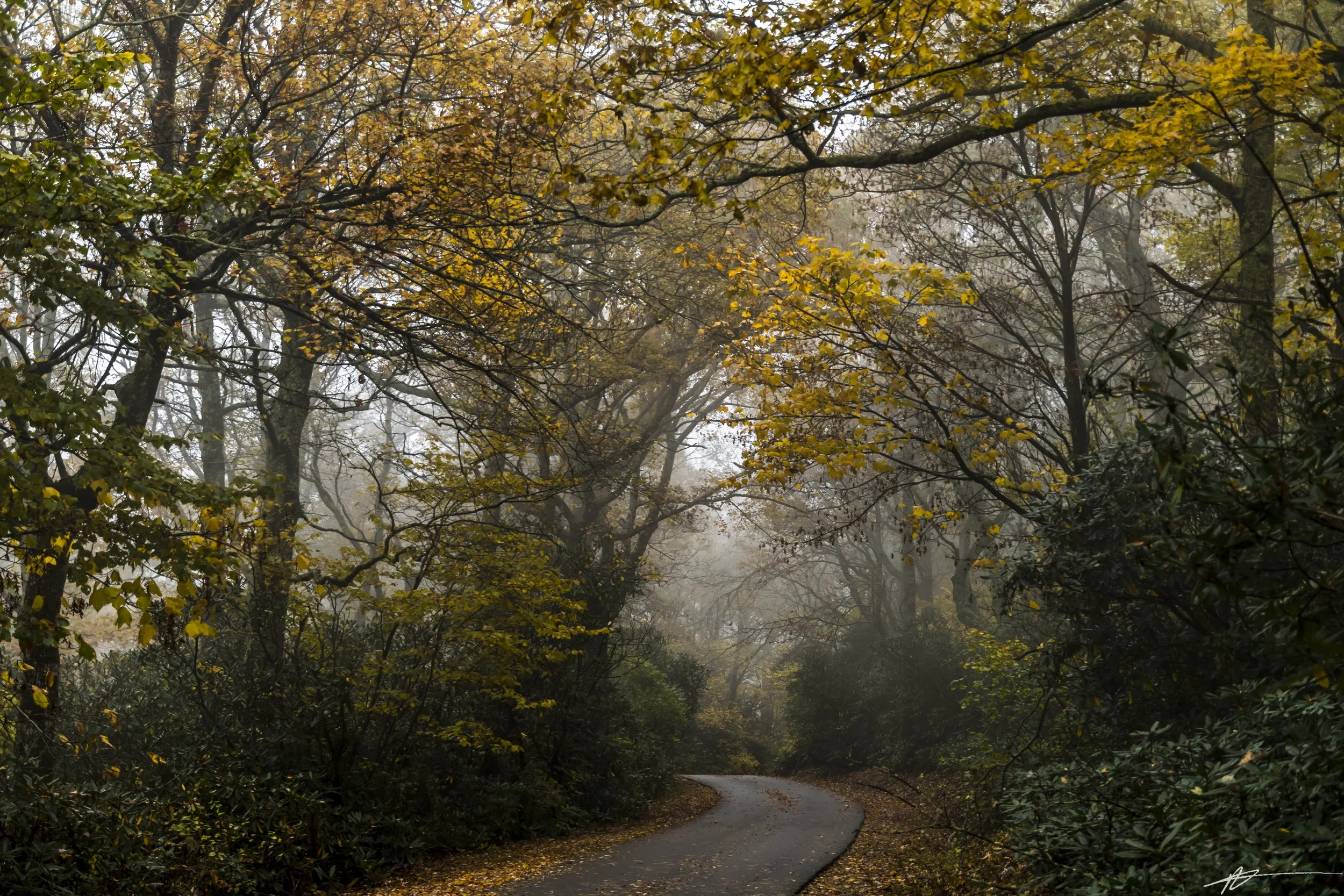 Blue Ridge-42.jpg