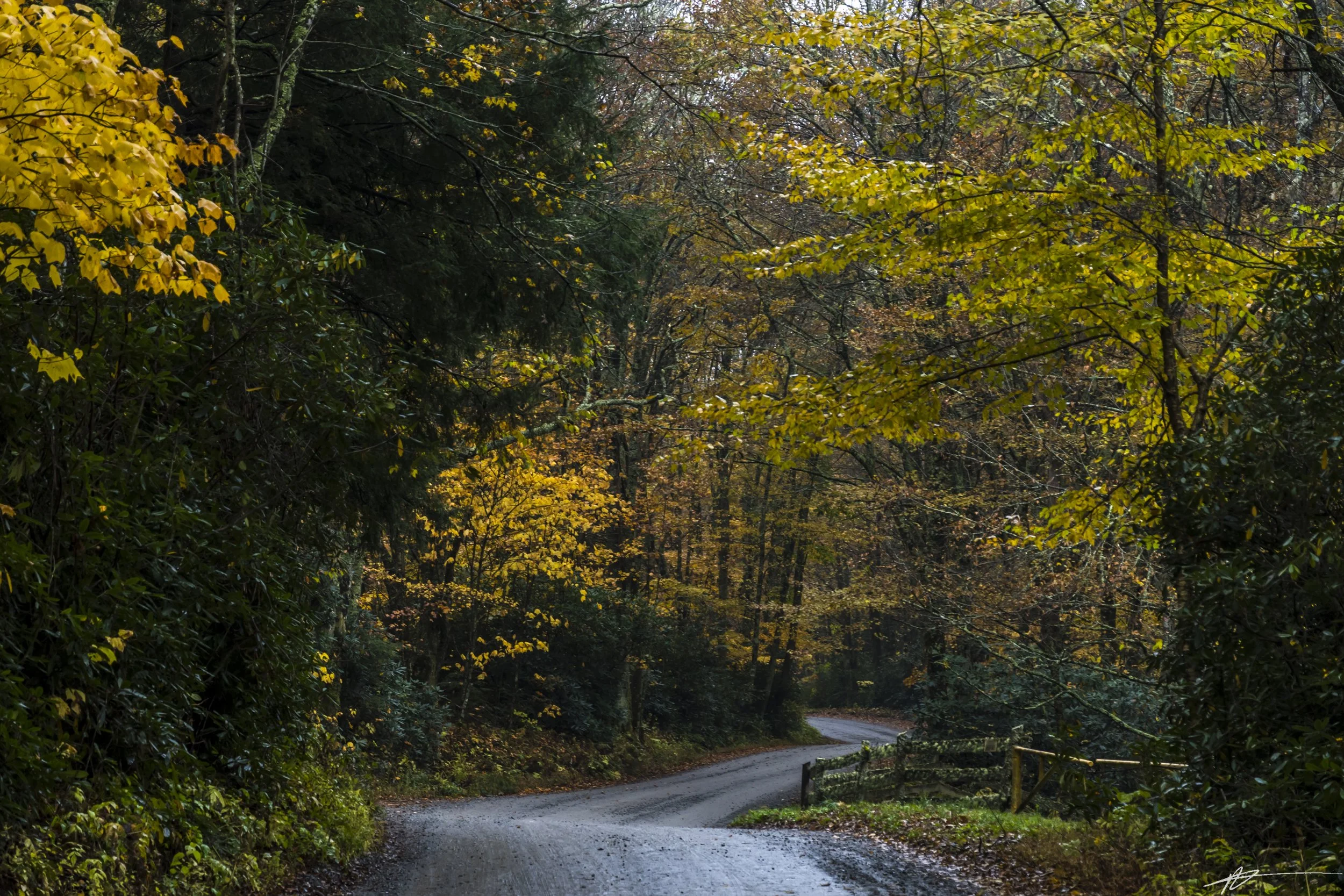 Blue Ridge-52.jpg
