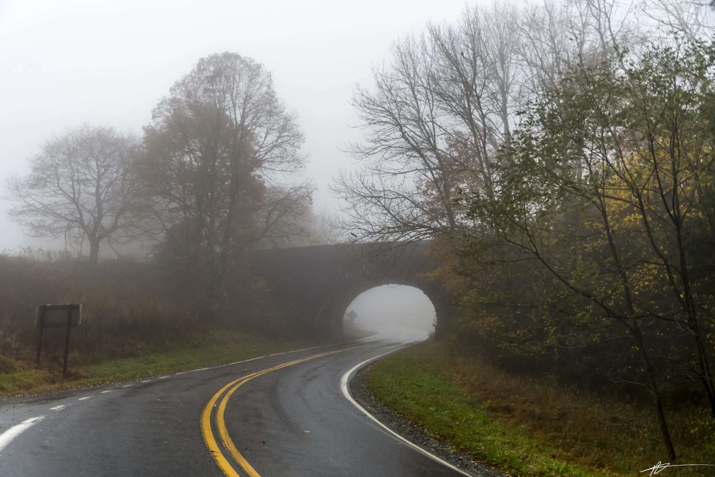 Blue Ridge-83.jpg