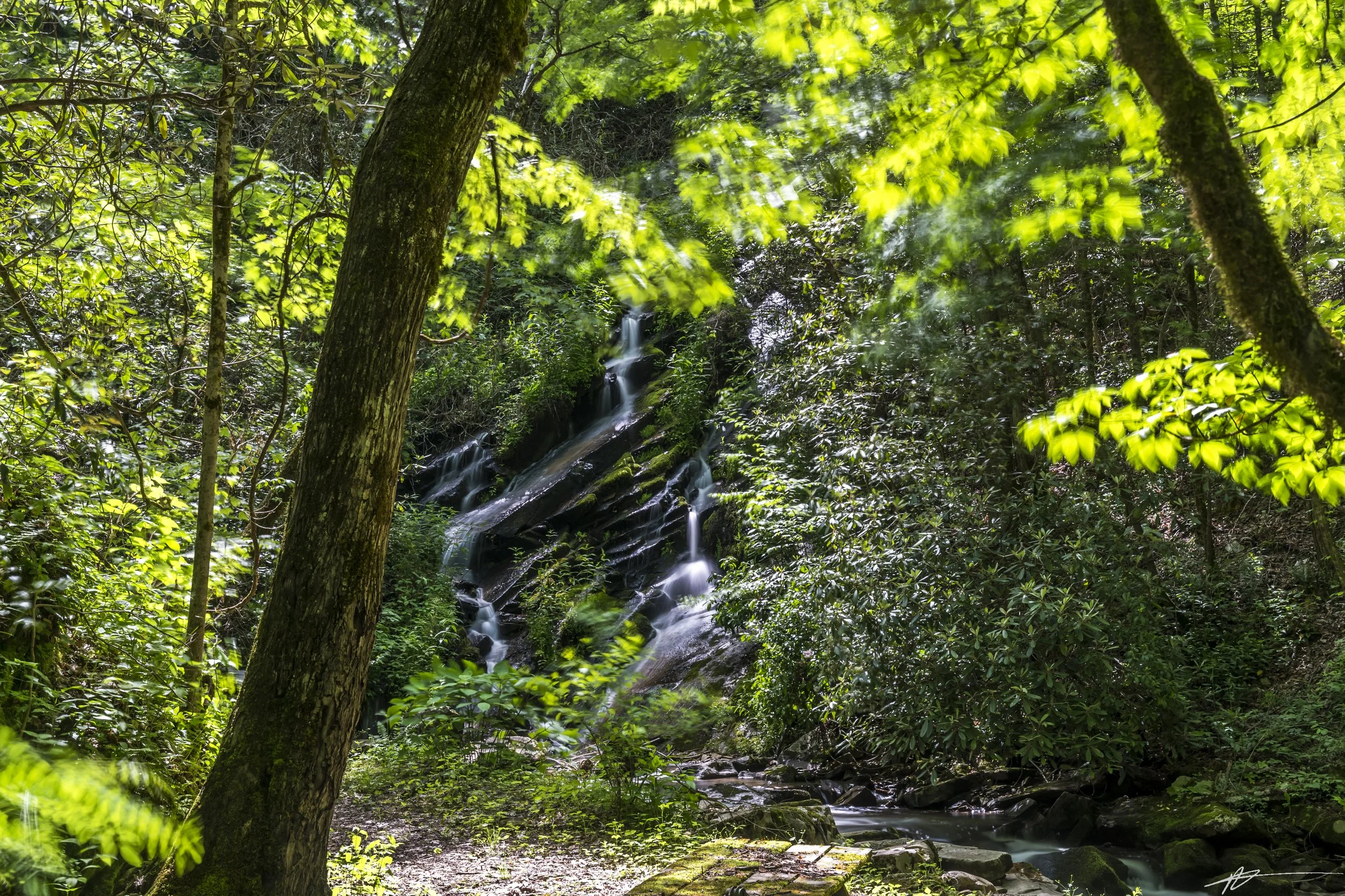 Bryson City-6949.jpg