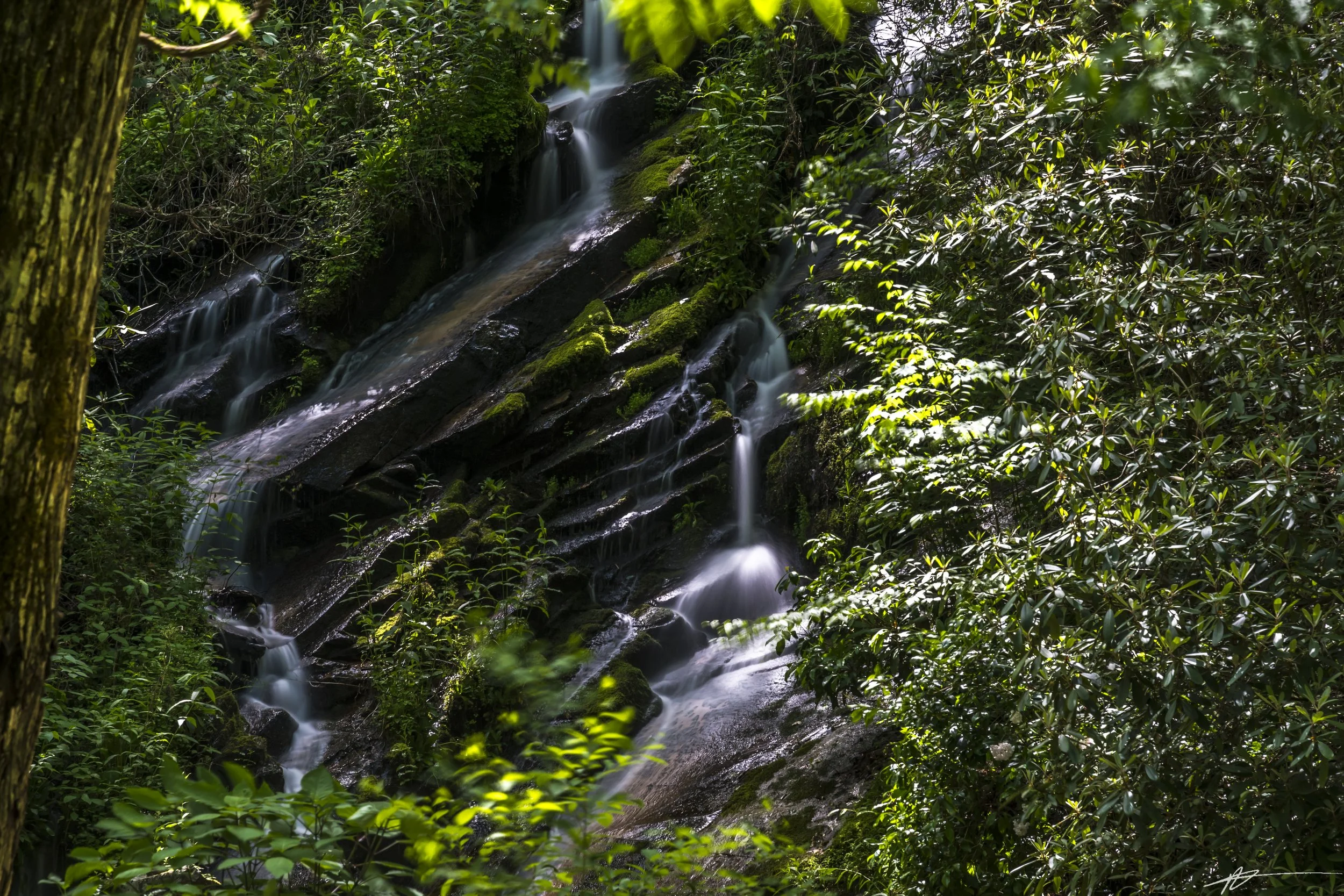 Bryson City-6950.jpg
