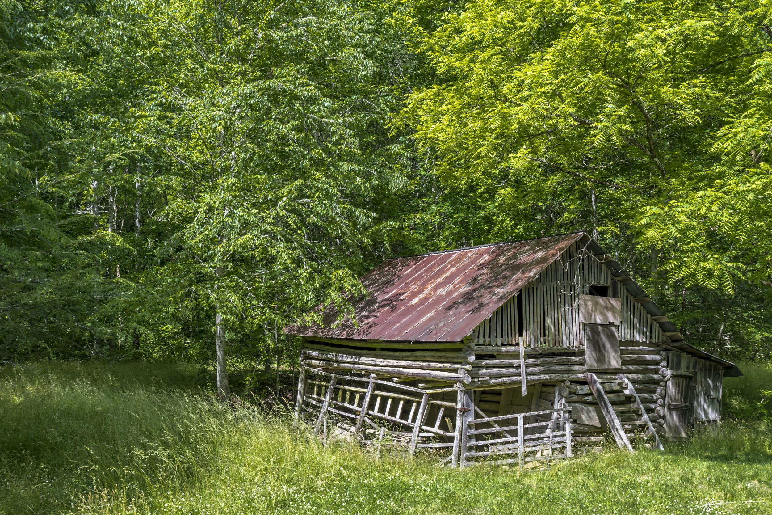 Bryson City-6956.jpg