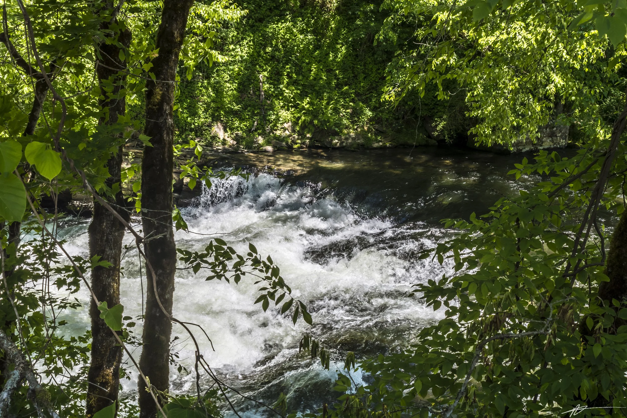 Bryson City-7184.jpg