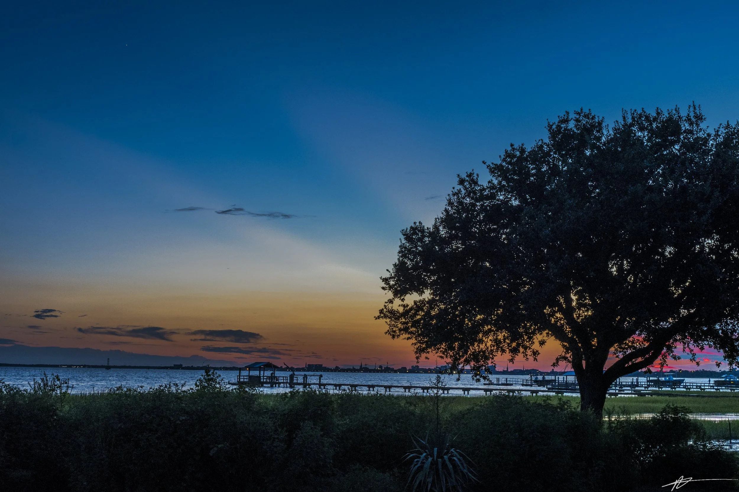 Charleston-7548.jpg