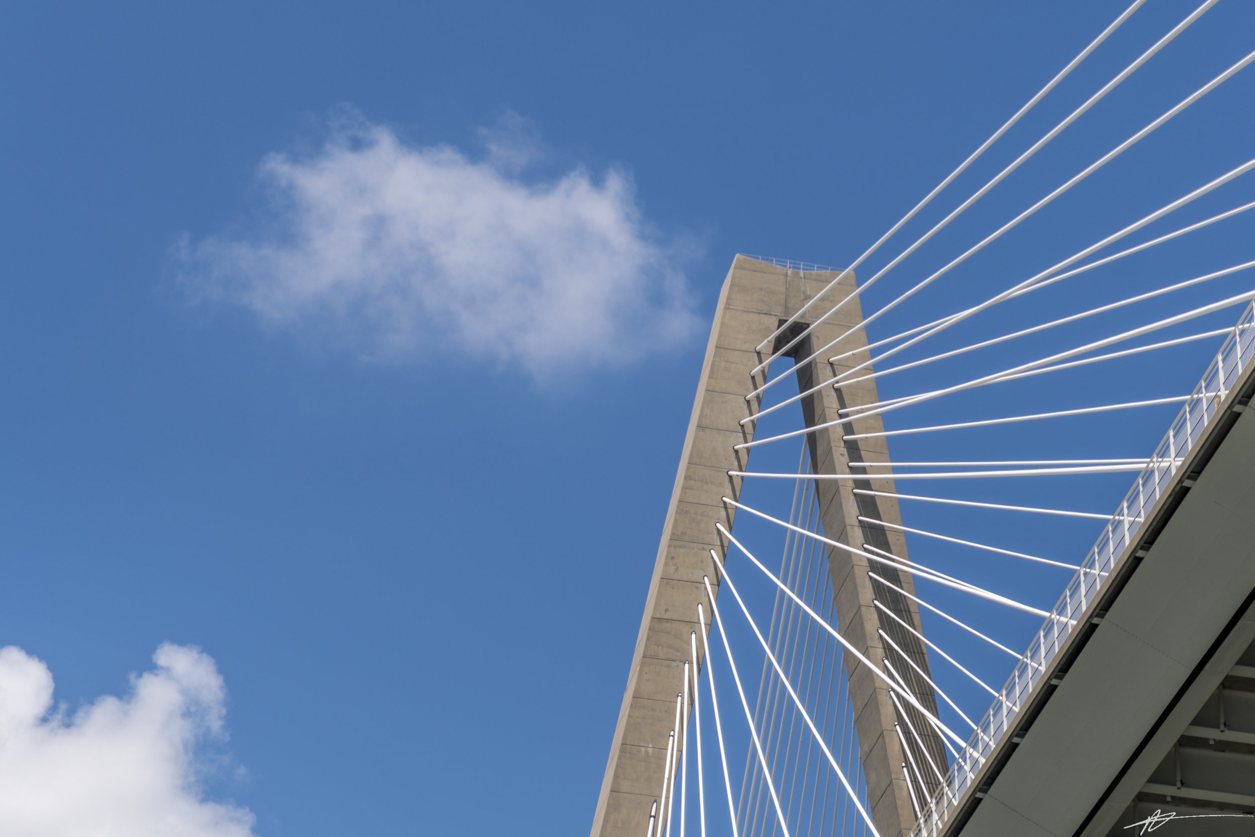 Charleston-7811.jpg