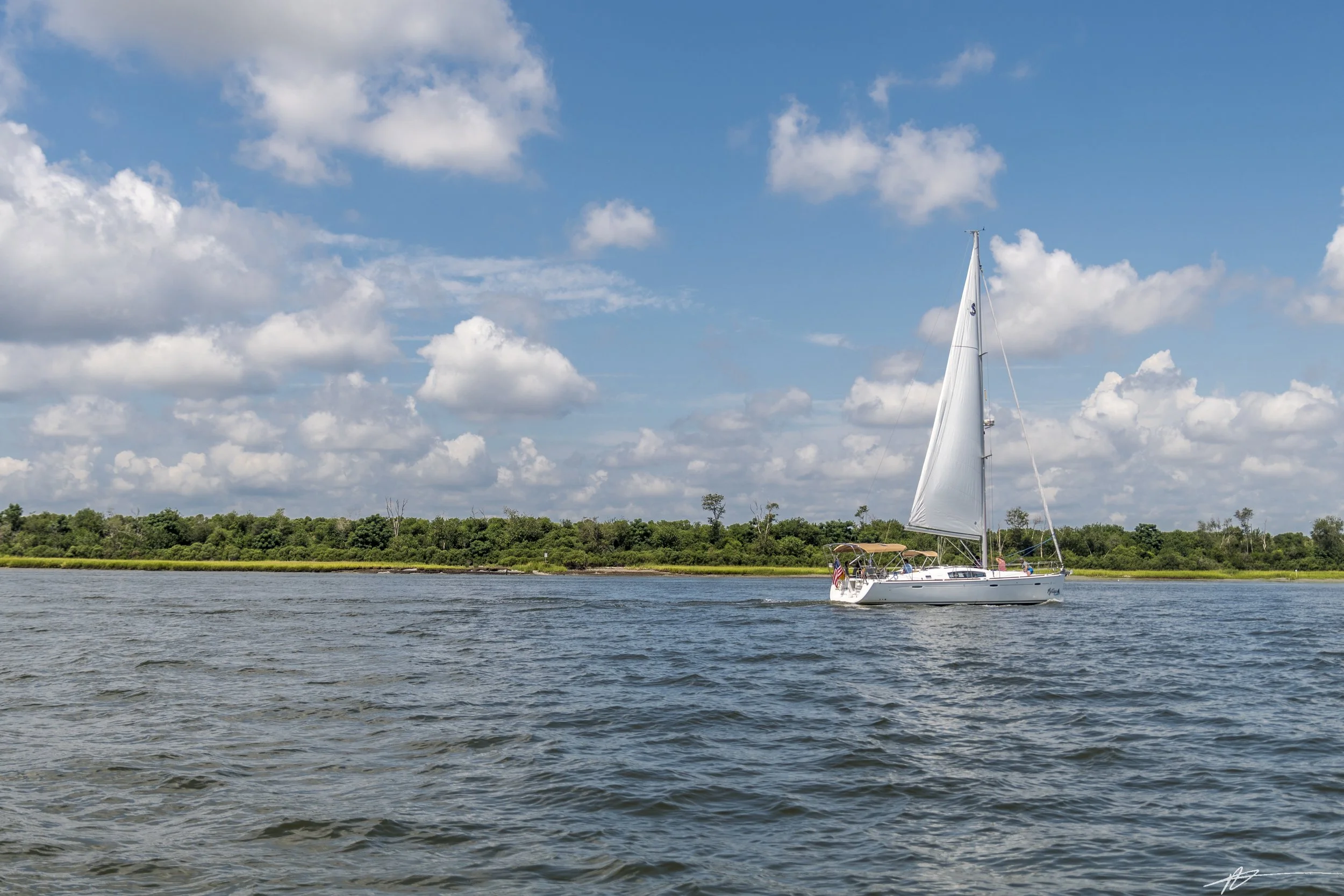 Charleston-7815.jpg