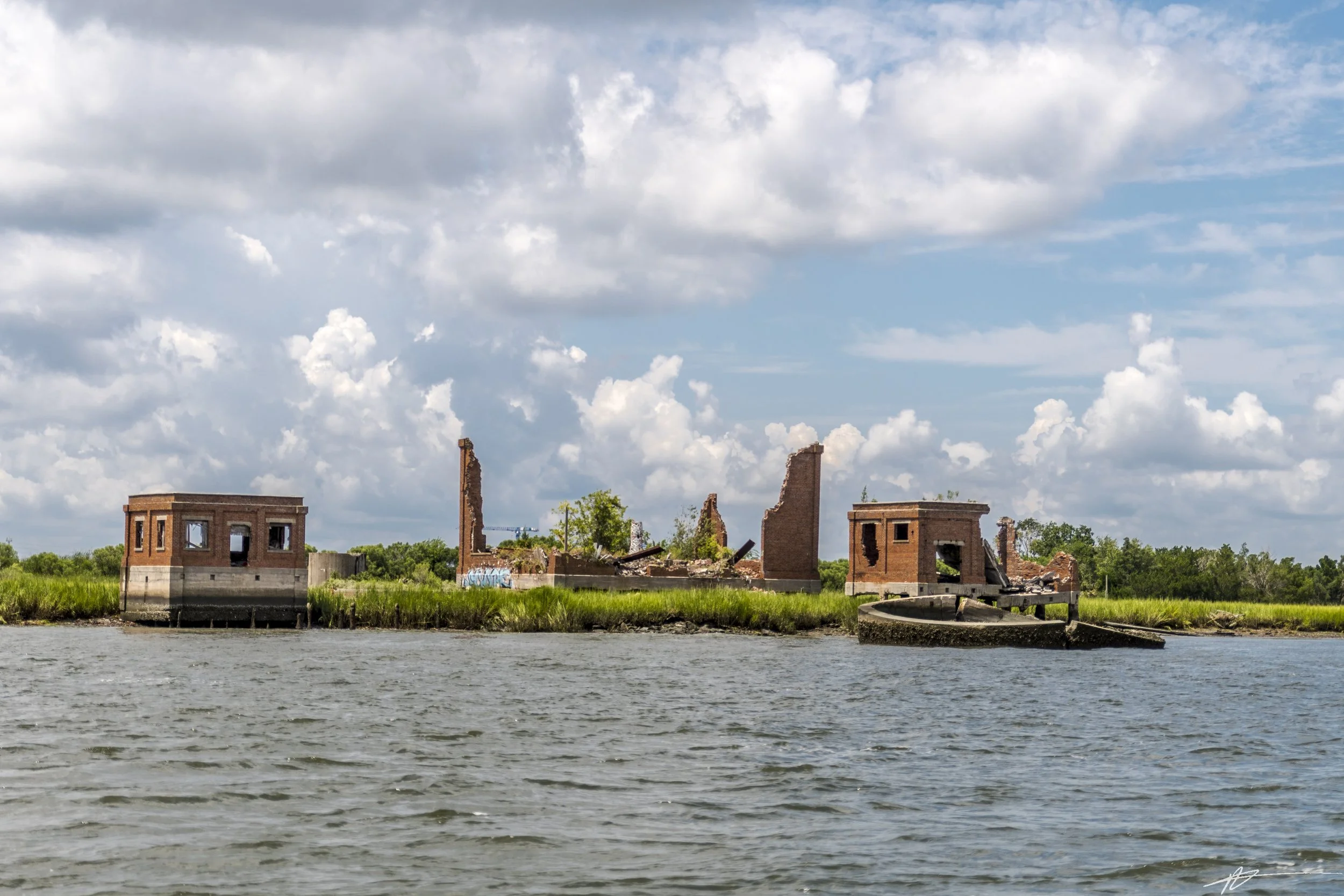 Charleston-7854.jpg