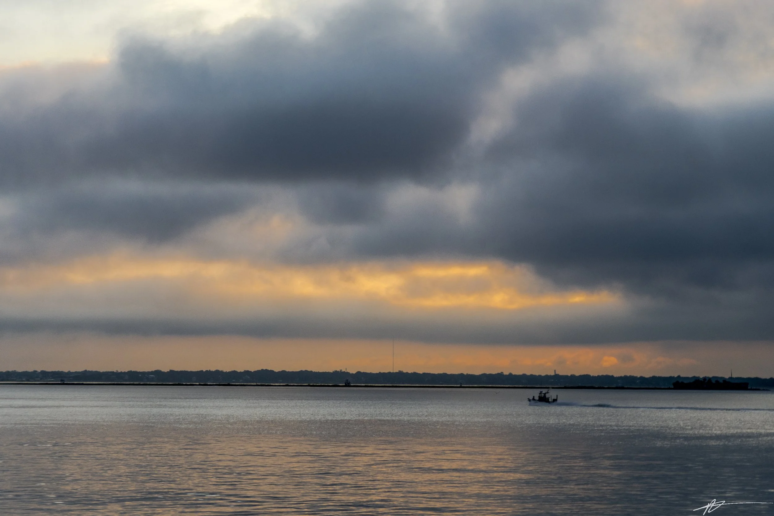 Charleston-8021.jpg
