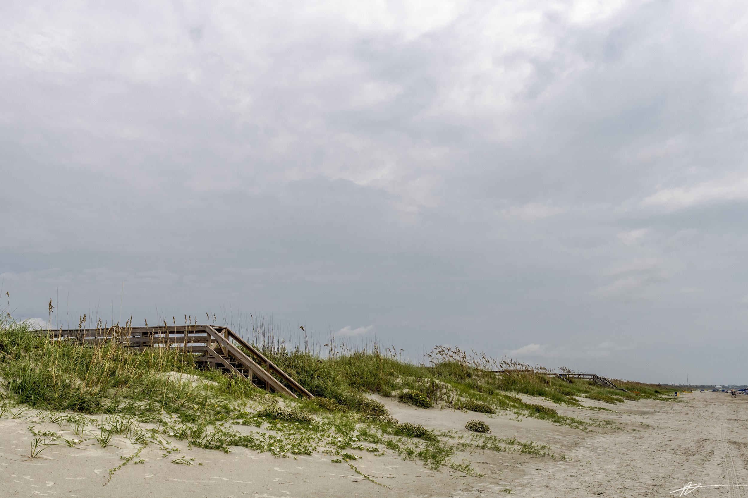 Charleston-8069.jpg