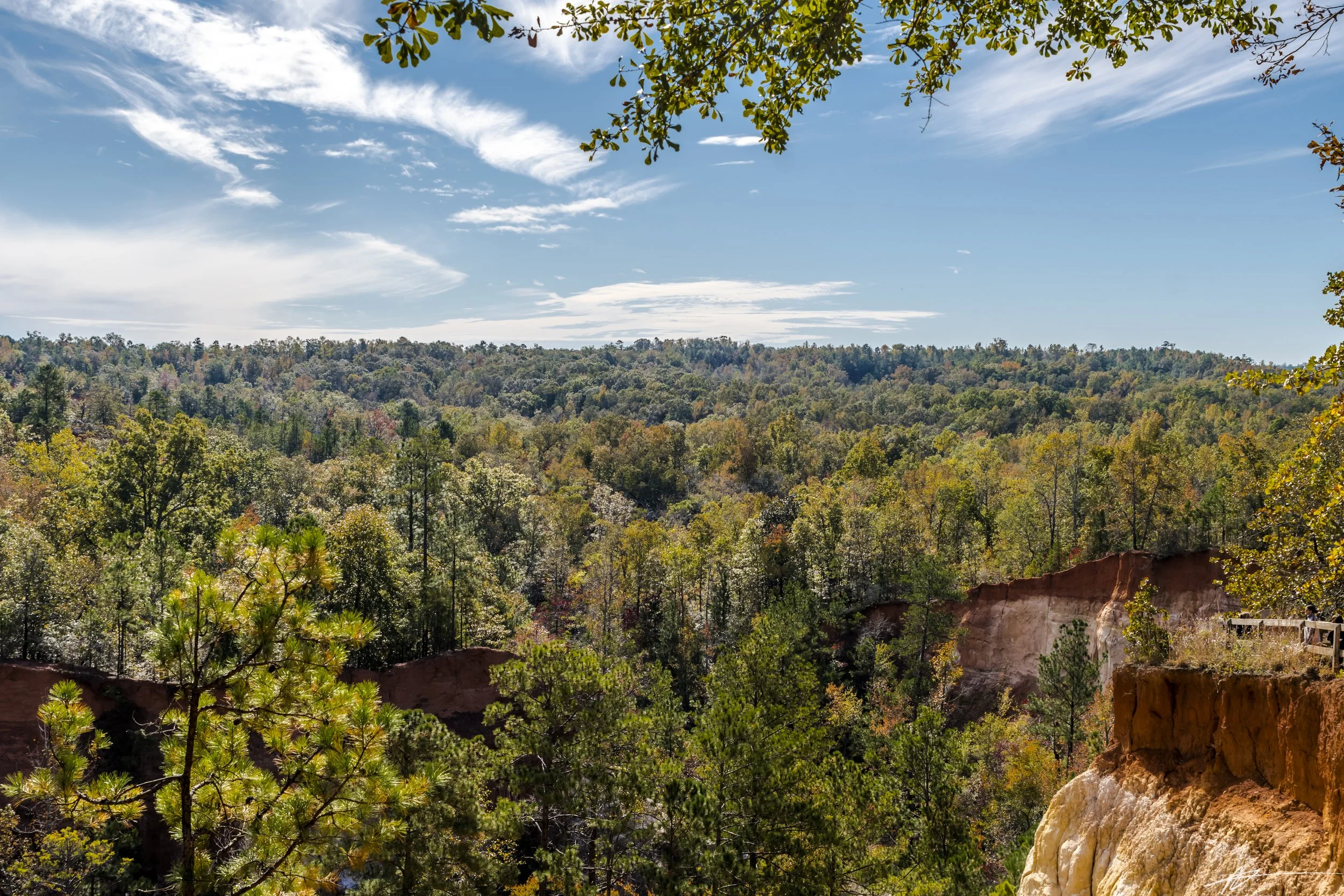 Providence Canyon State Park-8314.jpg