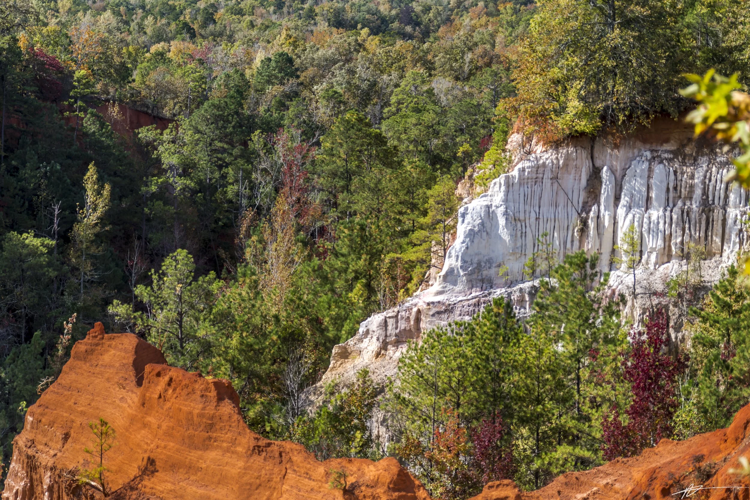 Providence Canyon State Park-8323.jpg
