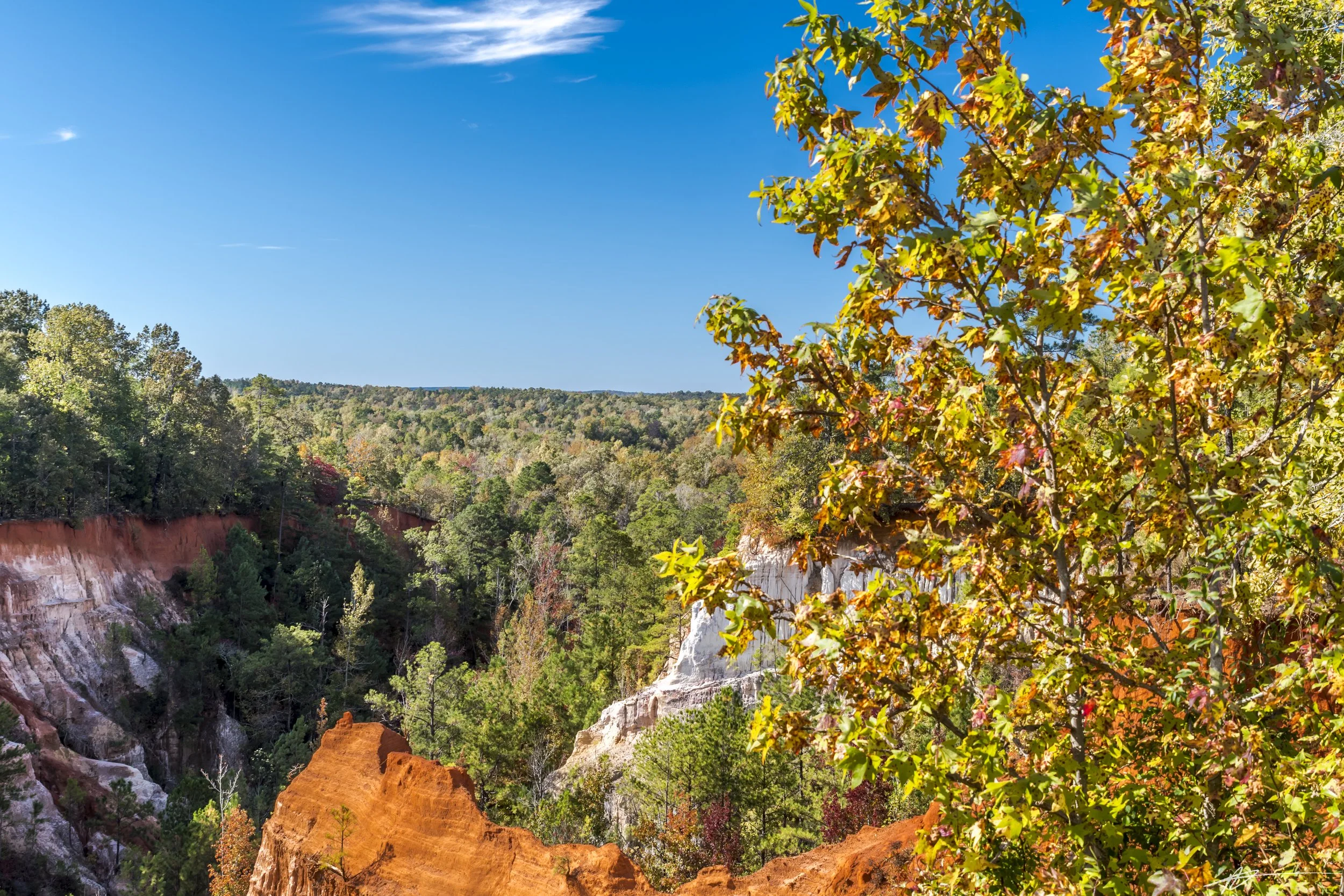 Providence Canyon State Park-8324.jpg