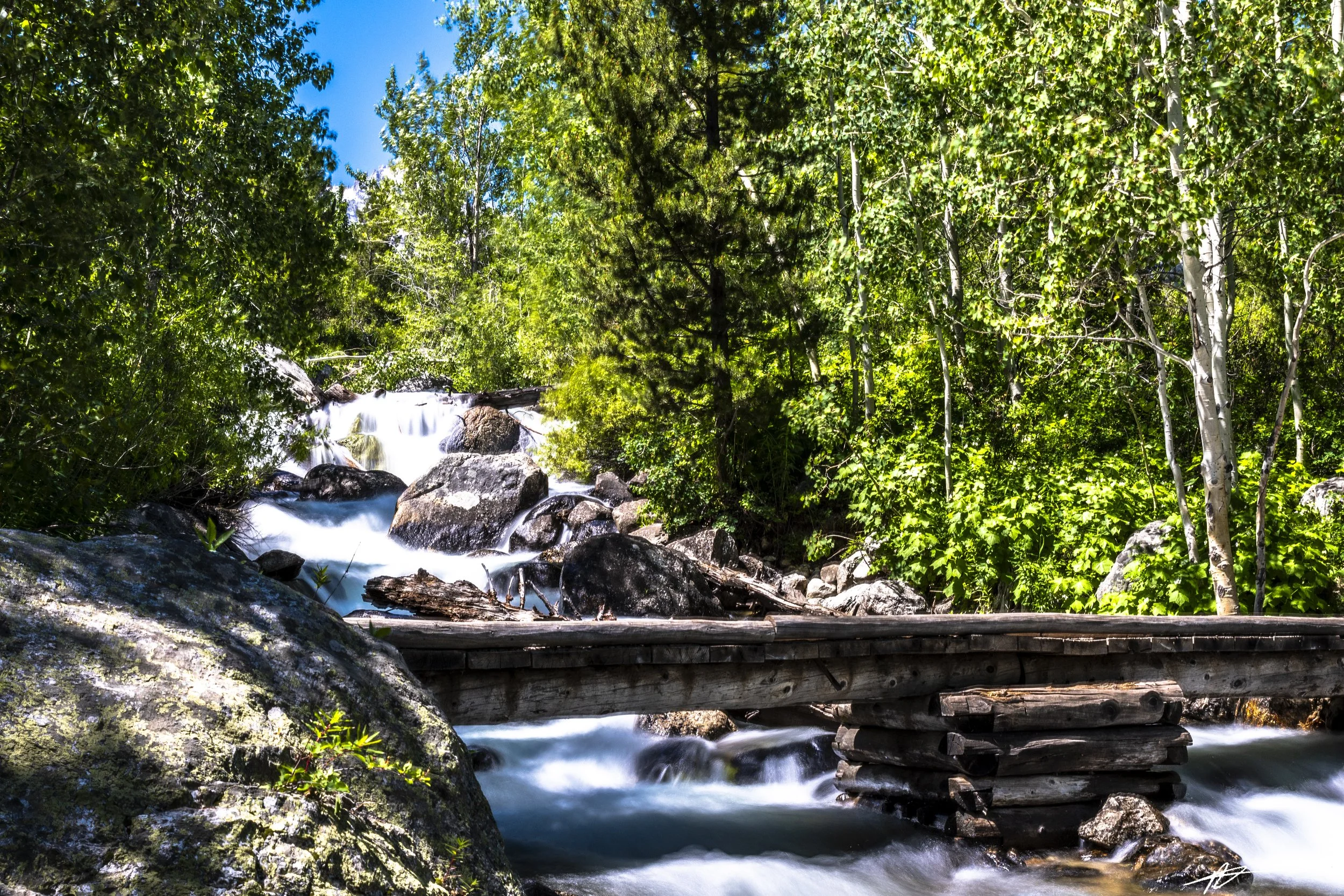 Yellowstone-695.jpg
