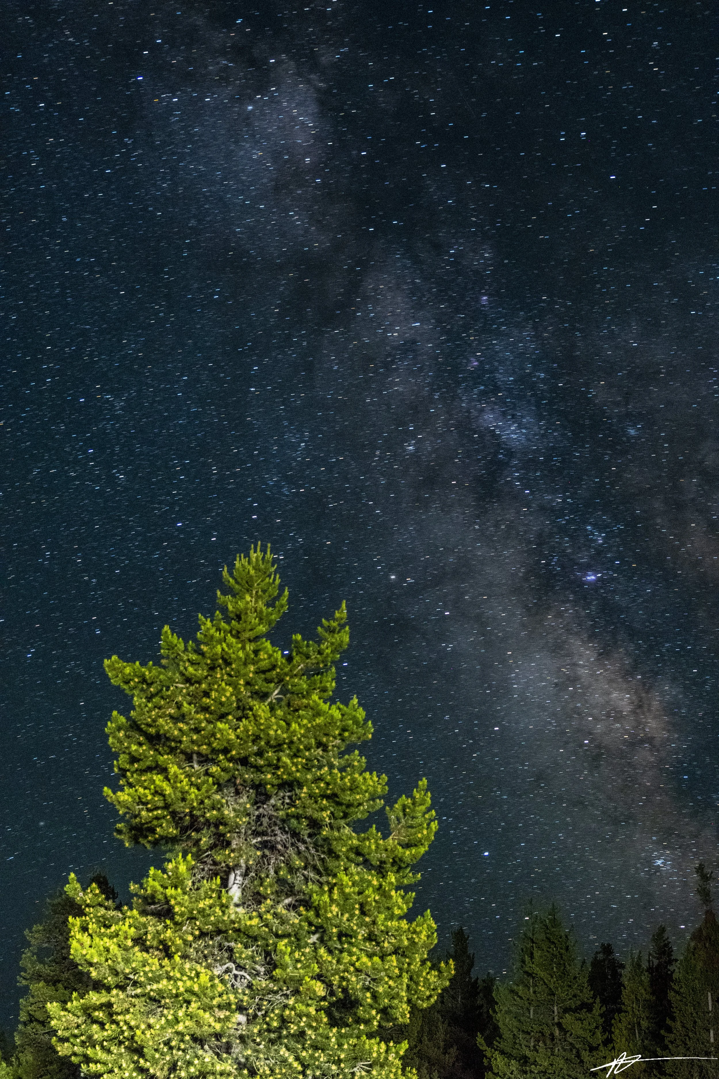 Yellowstone-1769-142.jpg