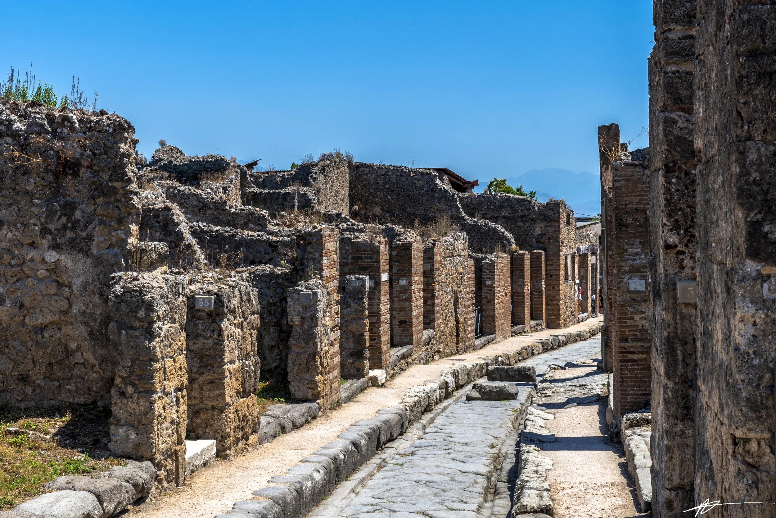 Naples 2024-34.jpg
