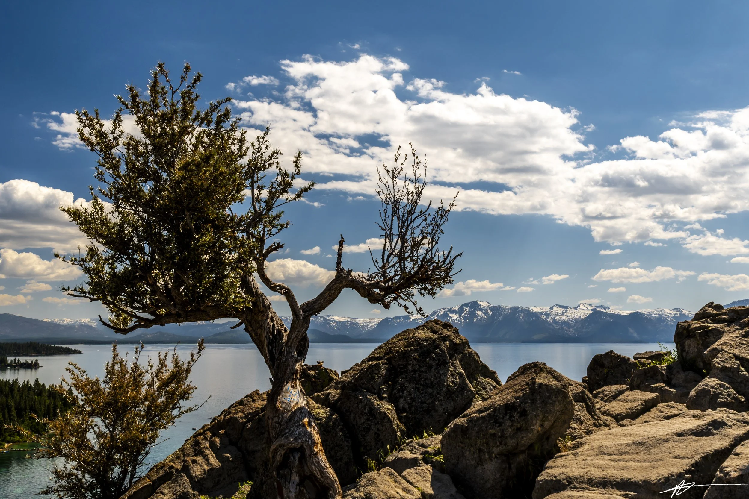 Lake Tahoe-34.jpg