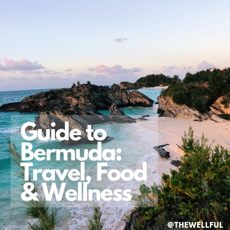 The Wellful Brenna Omalley Registered Dietitian