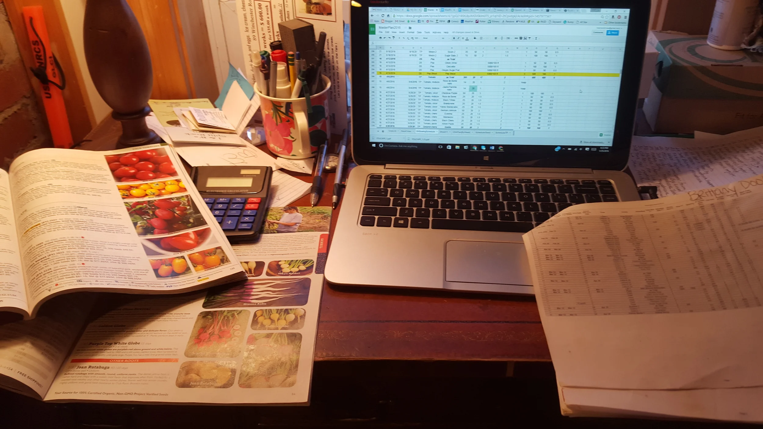 Finishing the seed plan, delayed by an intense bout of CSA marketing