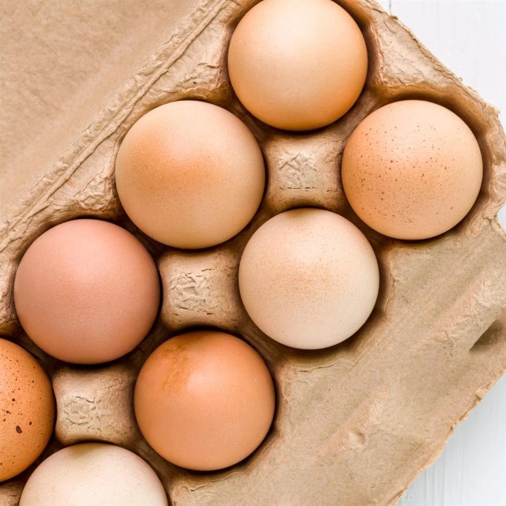 egg share photo 1500.jpg