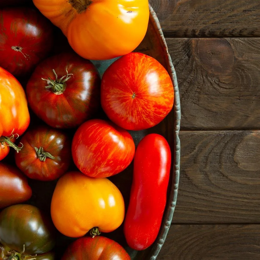 2nds tomatoes.jpg