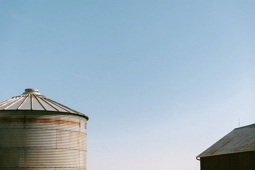 brittany_bear_photography_madraddishfarm2987.jpg