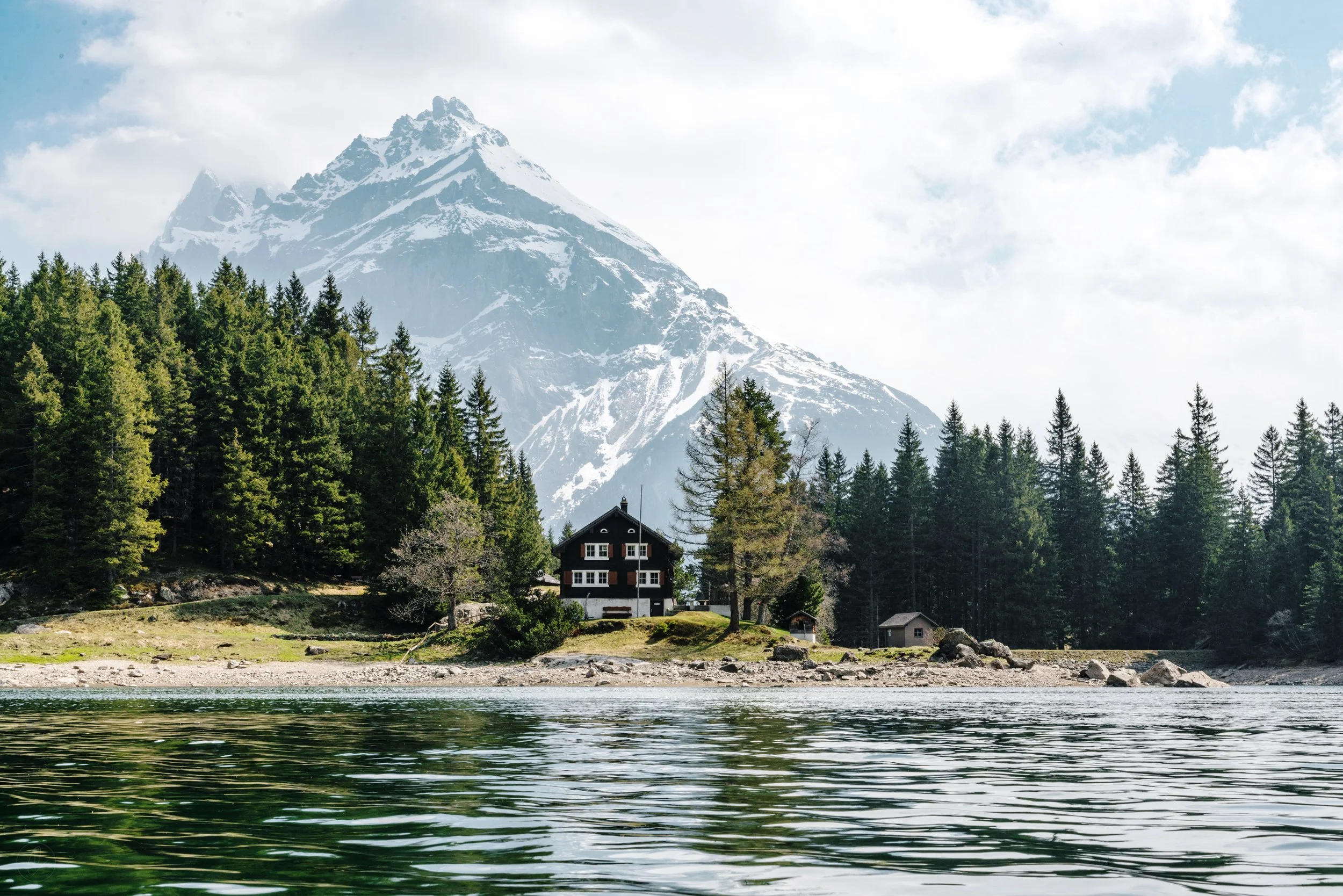 Photo by Dino Reichmuth on Unsplash