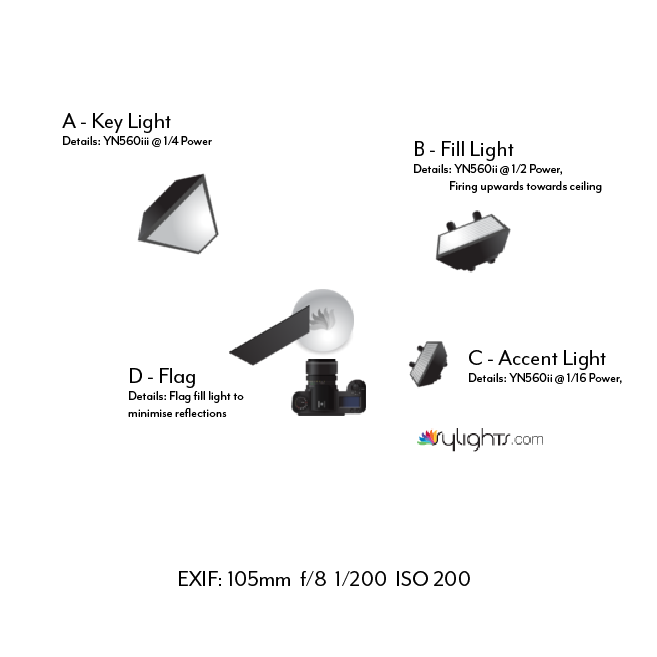 SeikoLightingDiagram.png