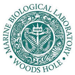 mbl_logo.jpg