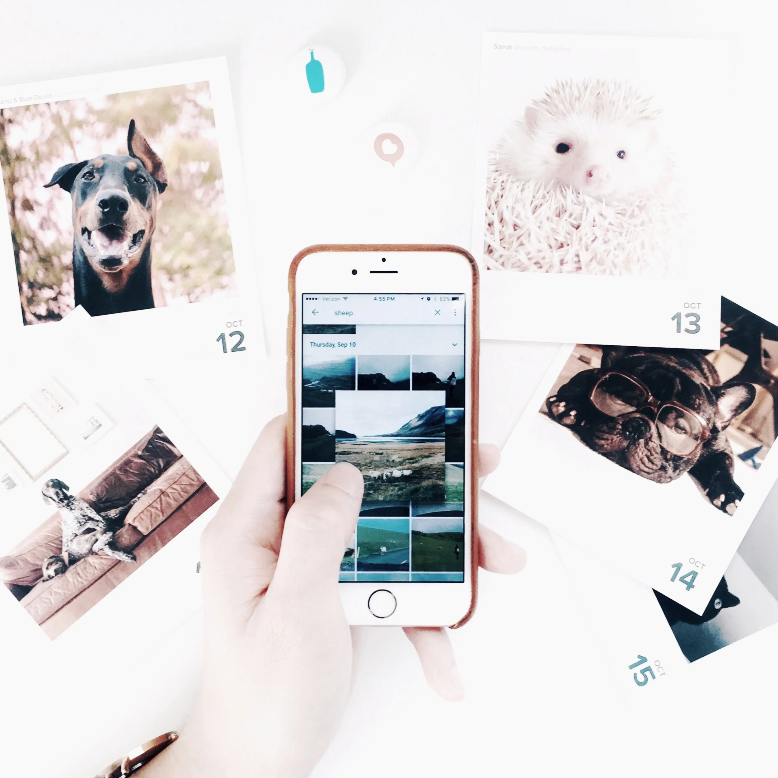 One of the highlights of my trip to Iceland was seeing sheep EVERYWHERE! I have photos of sheep in the fields, on the mountains, and even crossing the road. I love how #googlephotos Search is smart enough to find animals in my photos. All I need to do to get my sheep fix is search "sheep"! #tbt #EasyThrowback #ad