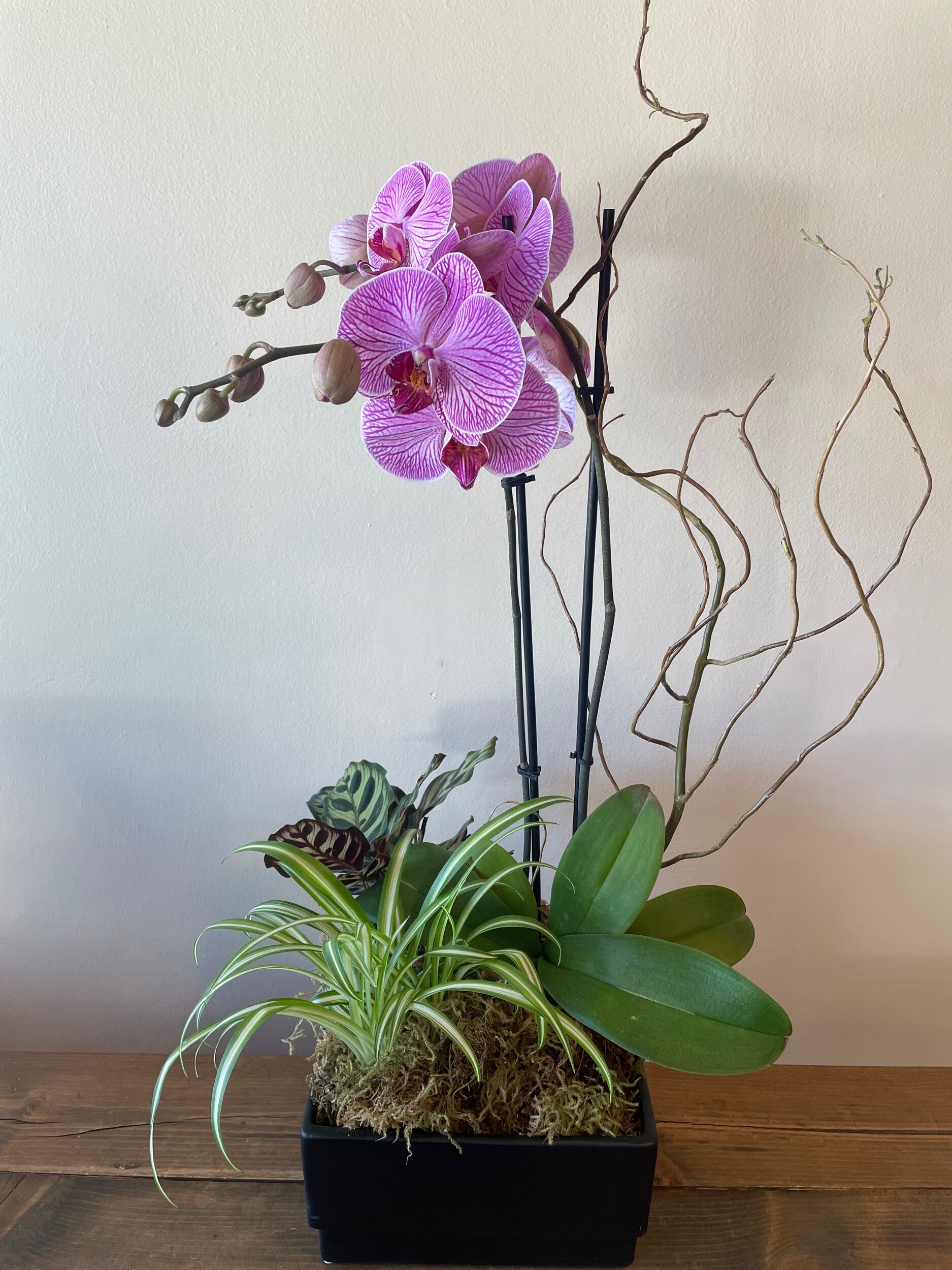 0F82AD90-F98B-4DDF-895F-09D4C028CB8C