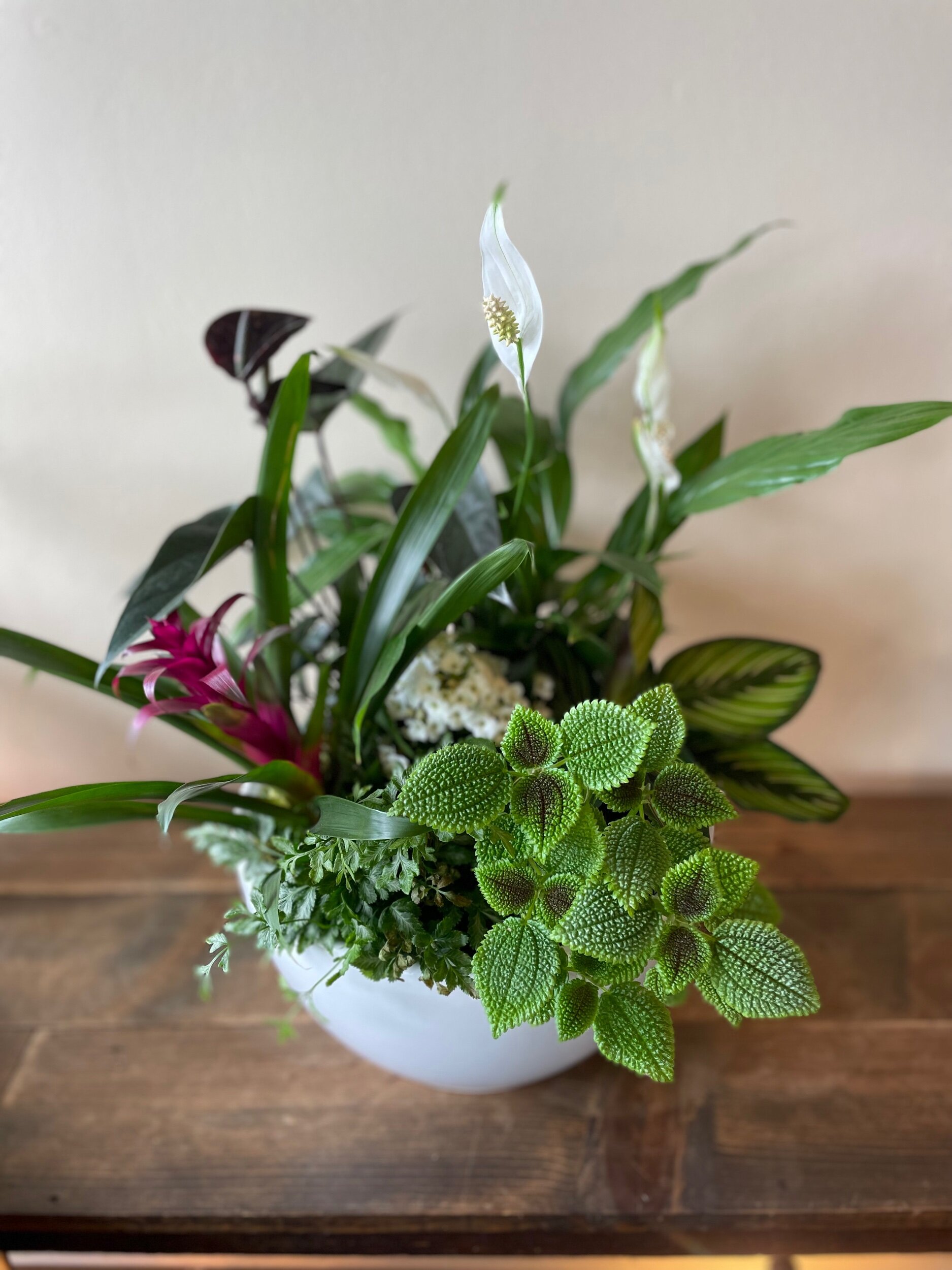 7DD26D2C-4E8F-45A3-B423-A46C93F78464