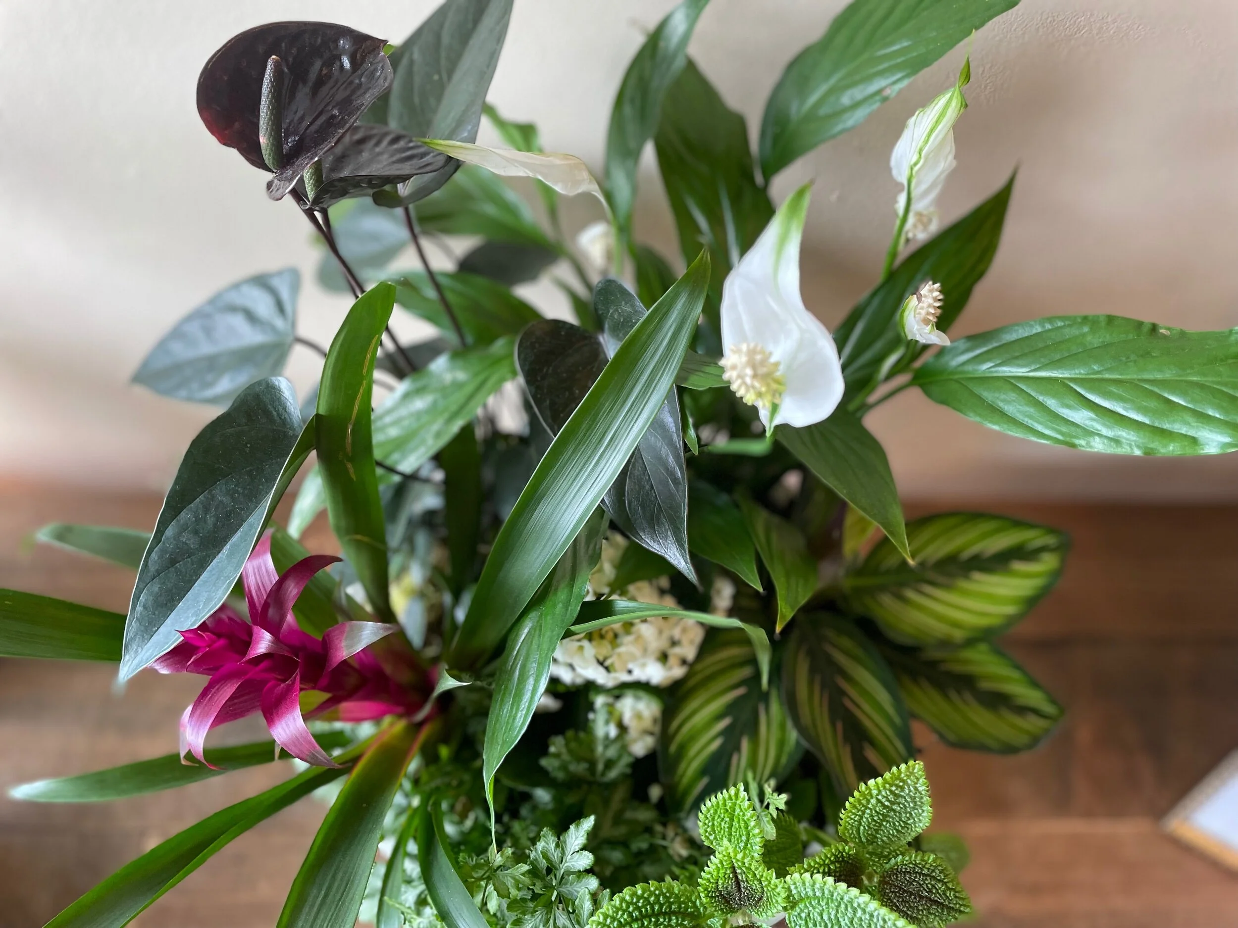 3E40629B-AFE3-4760-86D3-1022FC1660A1