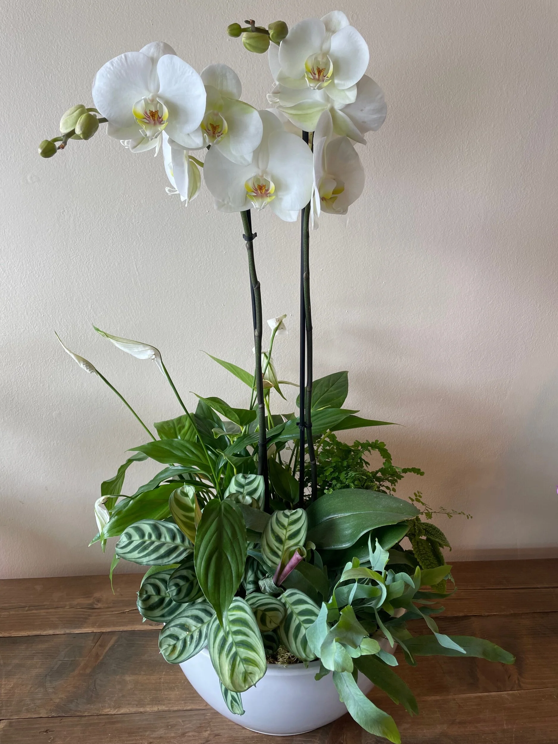 B7EB94C4-BC2B-4C49-9AC2-FEF03FF40D4B