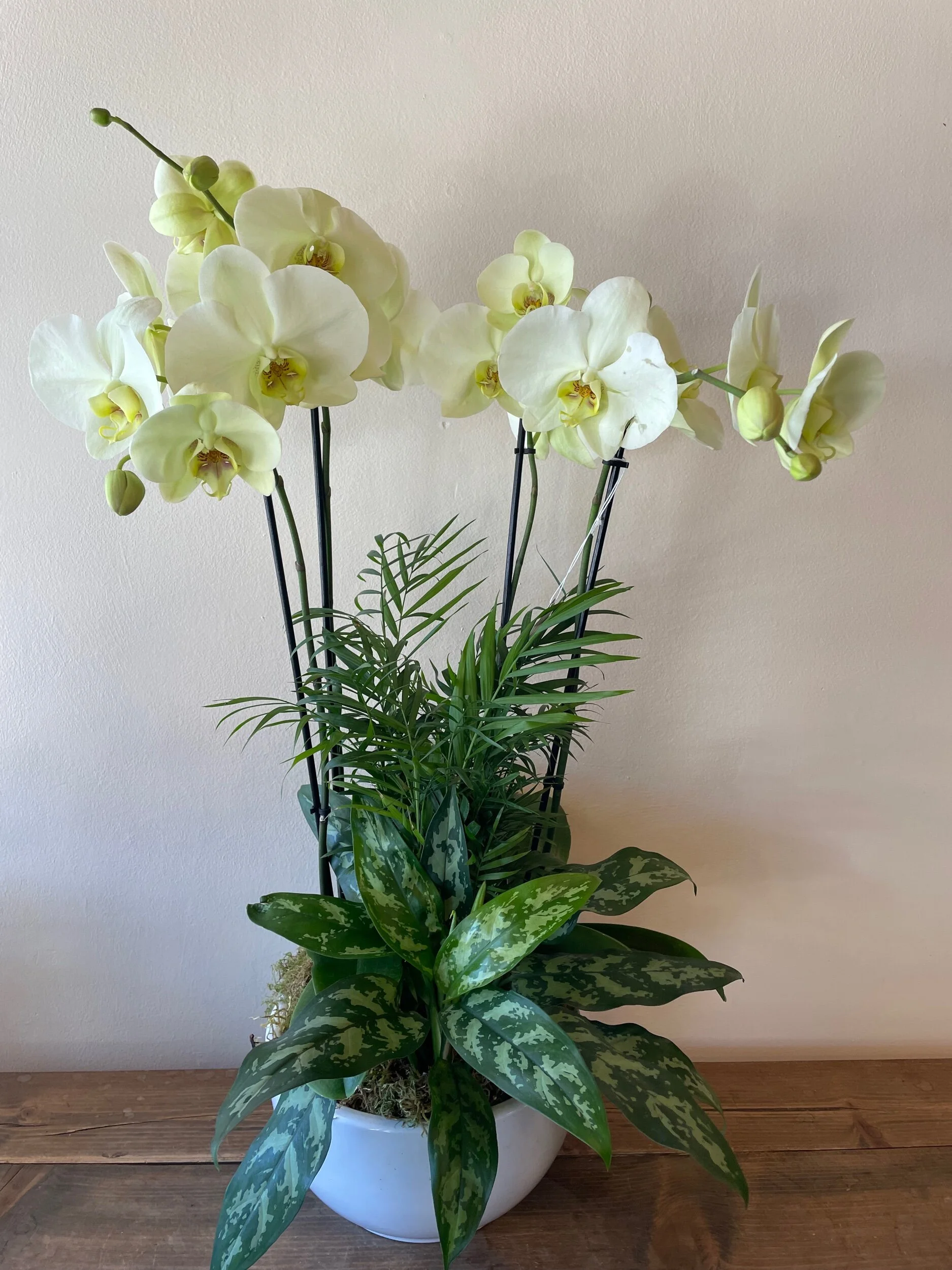 E6B37B28-2BFC-4E83-BAC5-FE8C24E7FAF0