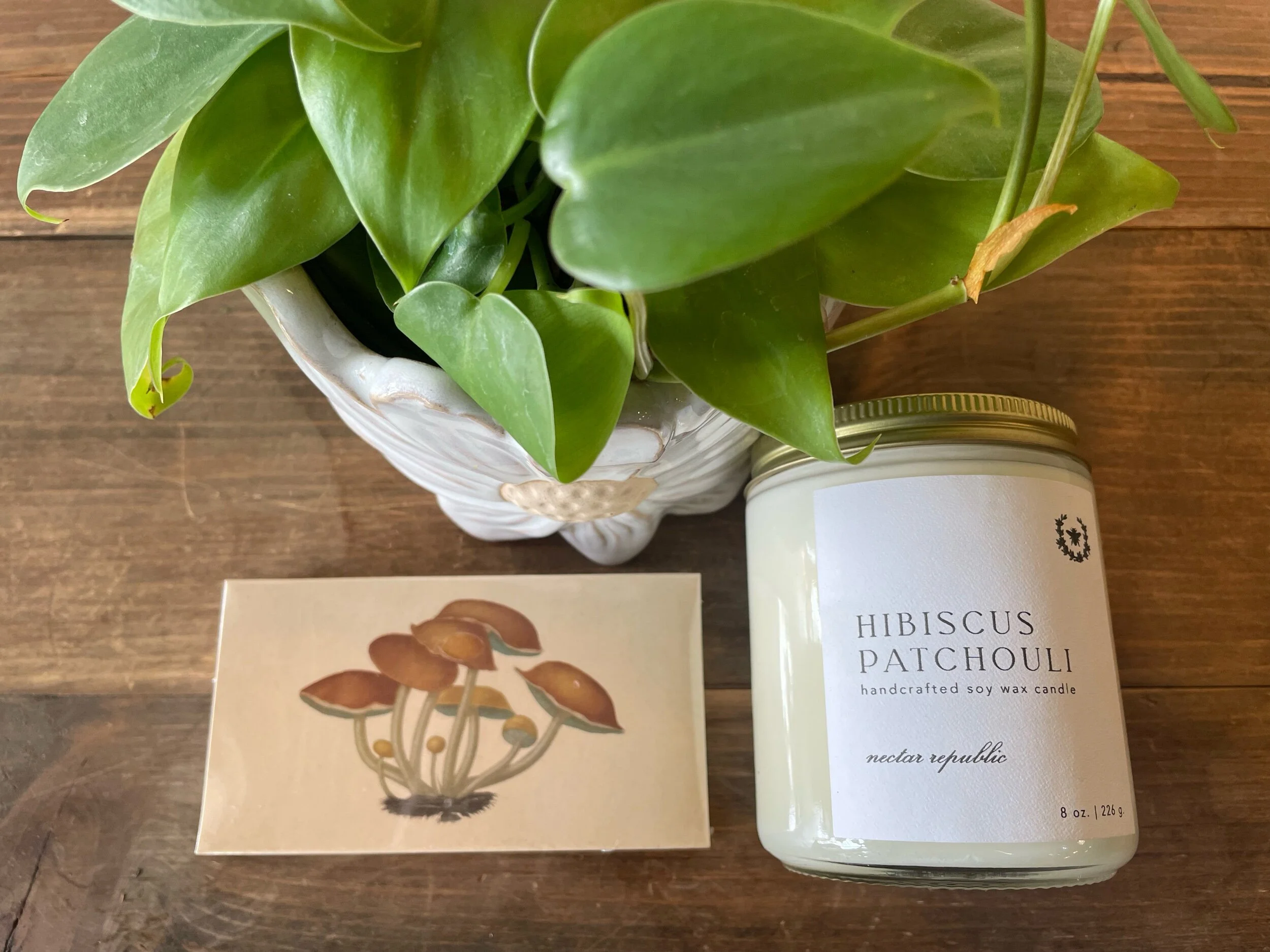 07894D55-C7ED-4E55-9639-0CEAD1050A64