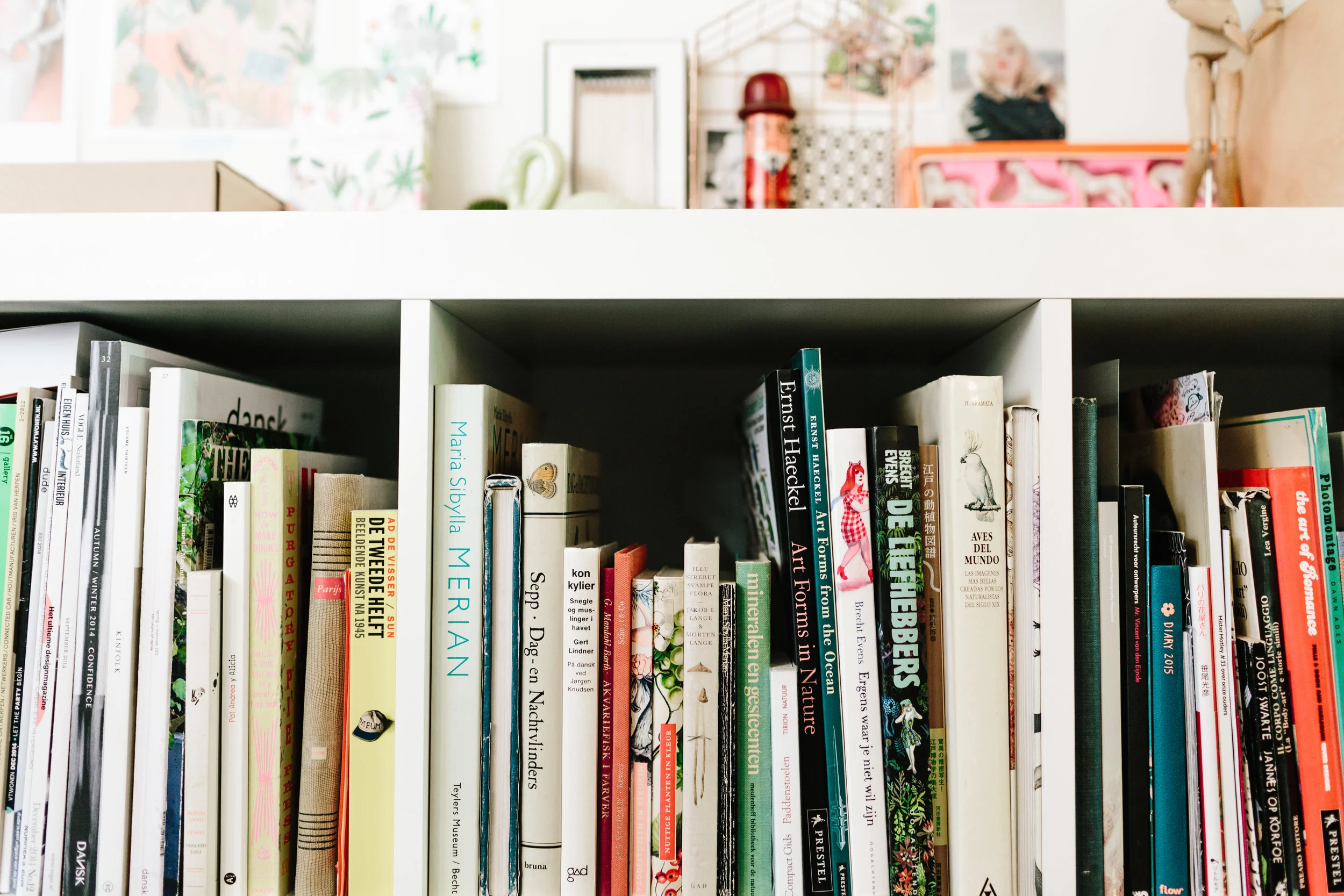 bodil-jane-books.jpg