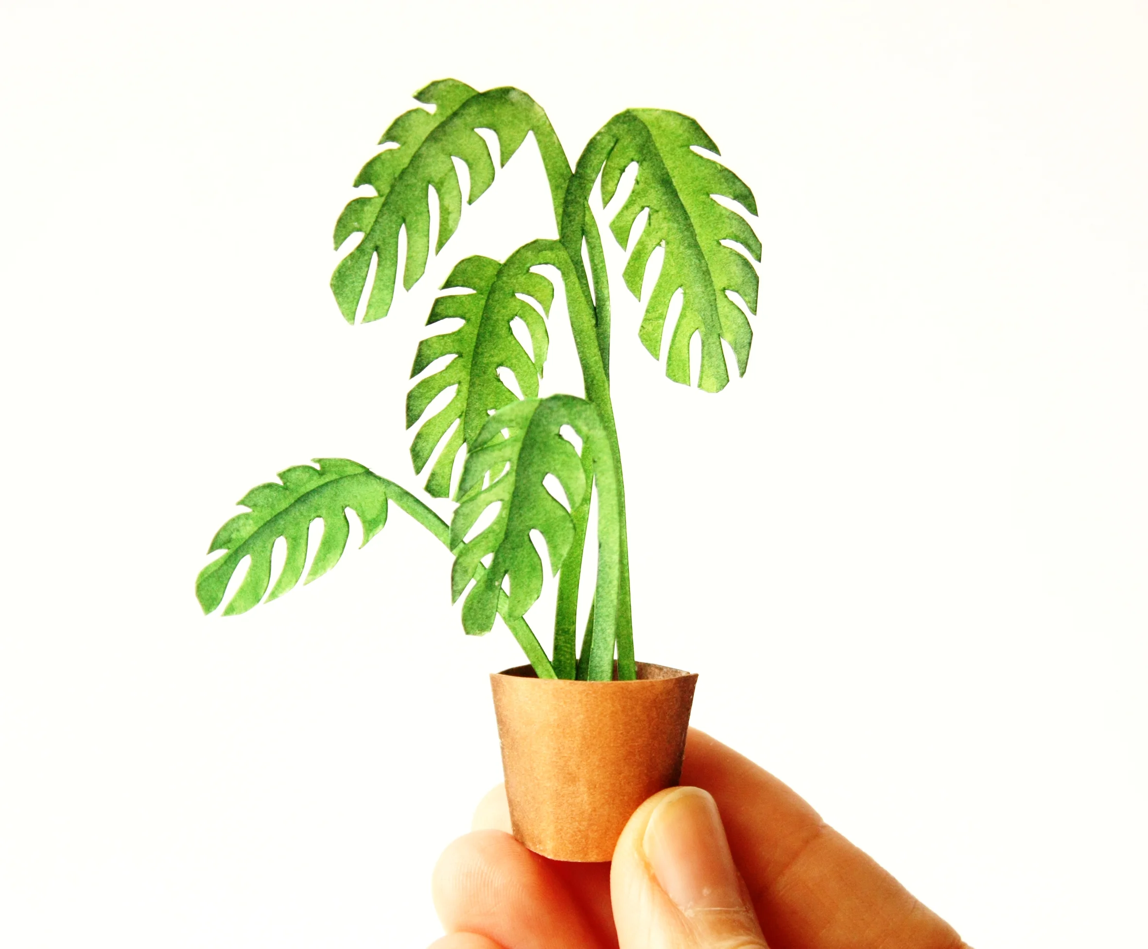 Craft With Conscience: Mar Cerdà