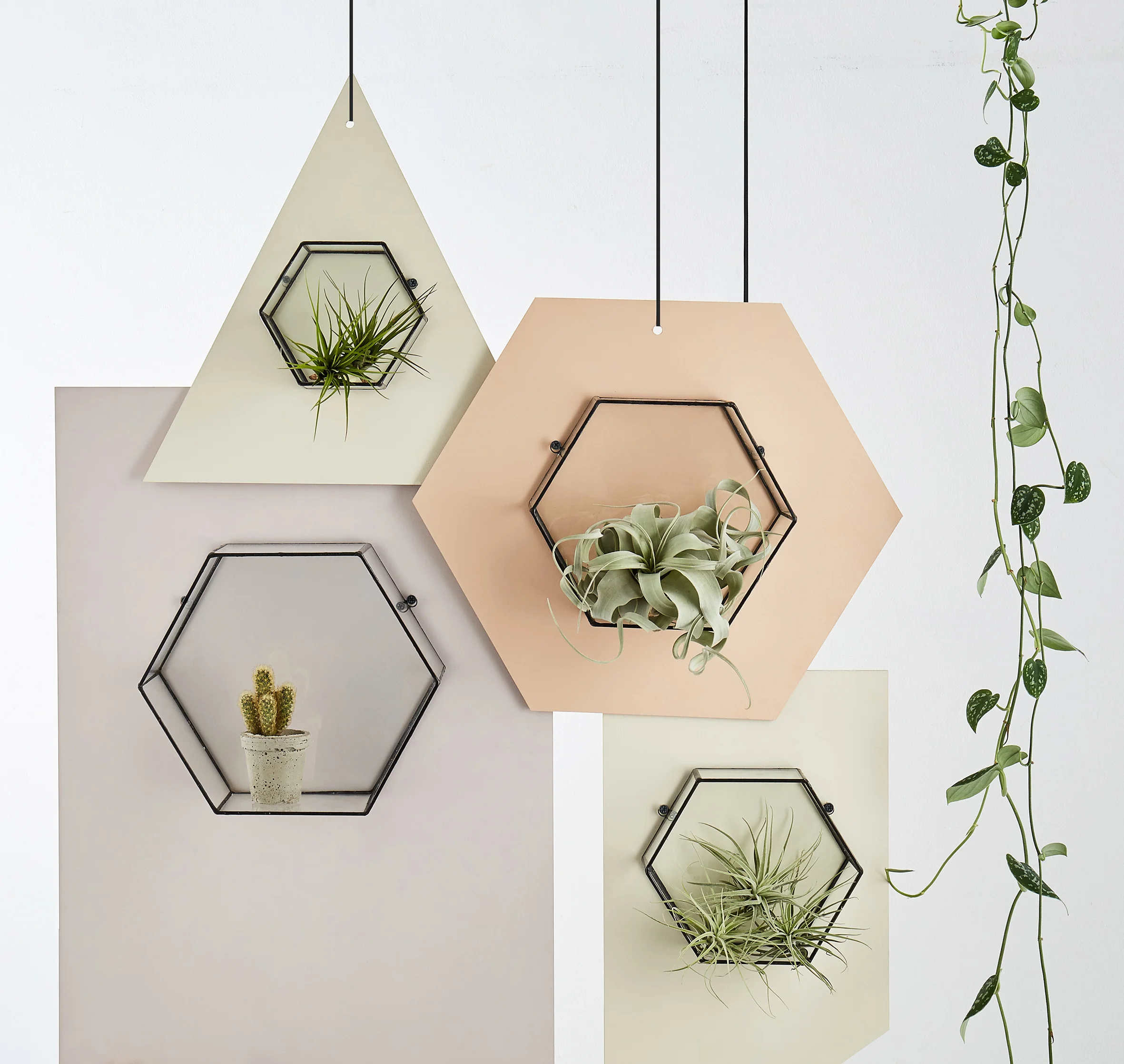 Craft With Conscience: Dee Monti of MONTI