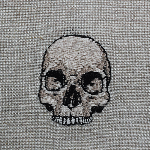 leminscateskullstudy.gif