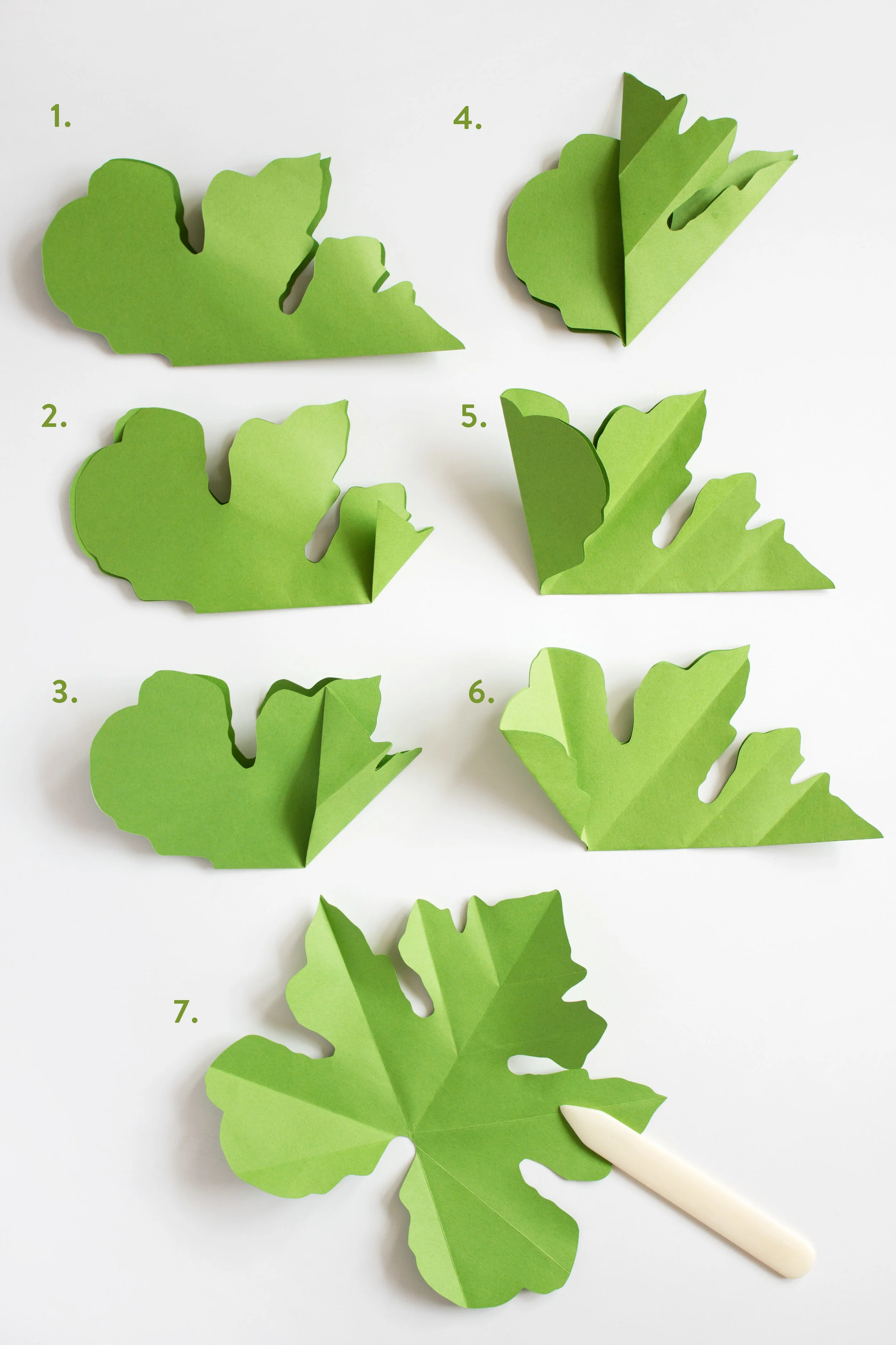 CorrieBethHogg_HandmadeHouseplants_squashstep3numbers.jpg
