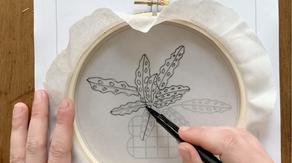 Personal Plant-Care tips: Mega Monstera — Sarah K. Benning Contemporary  Embroidery